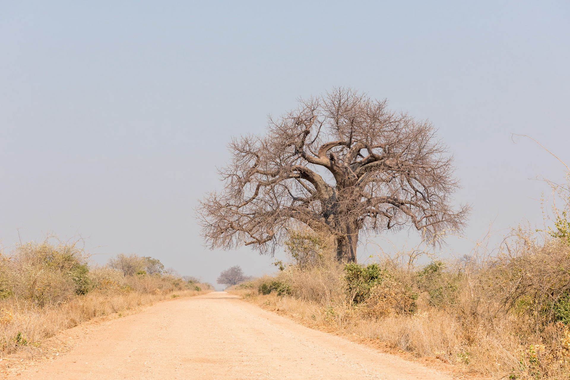 Mana Pools, Zimbabwe