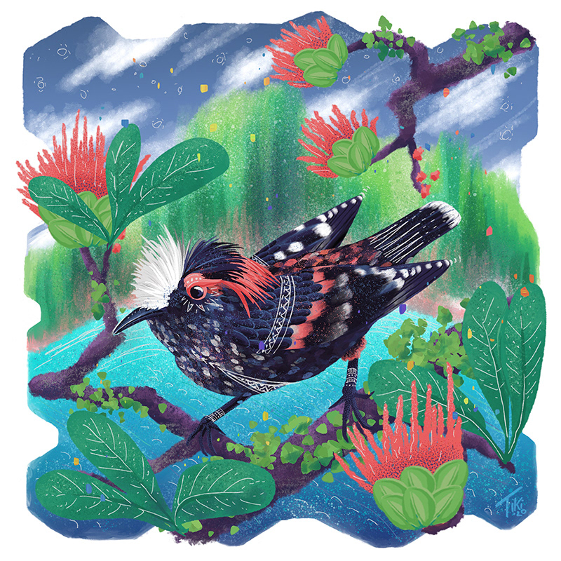 Akohekohe Hawaiian Bird - Endangered Animal Illustration