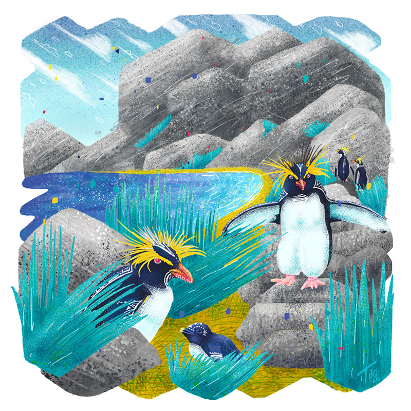 Mosley's Penguins - Endangered Animal Illustration
