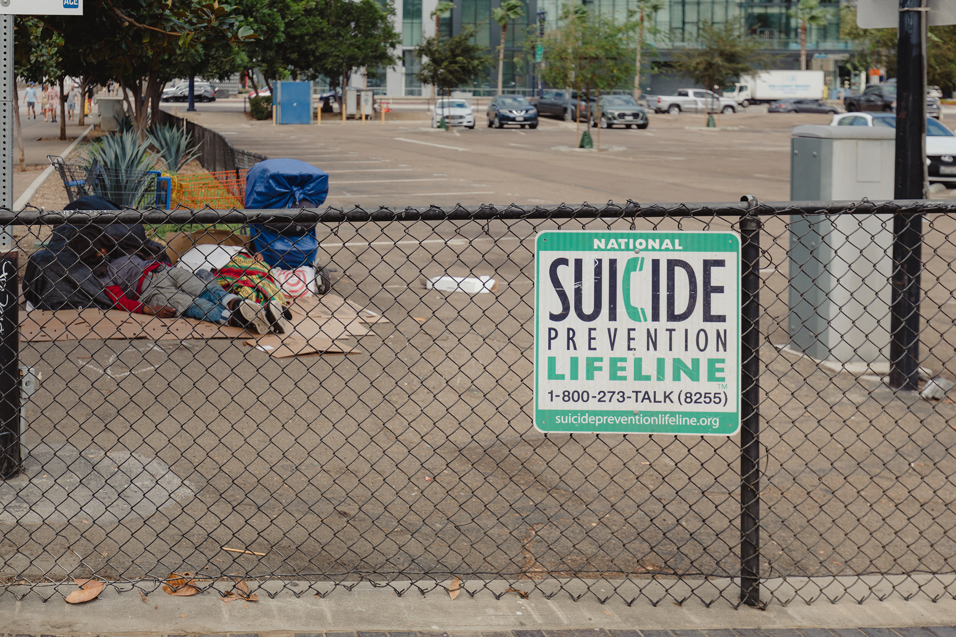 On the other side of the fence