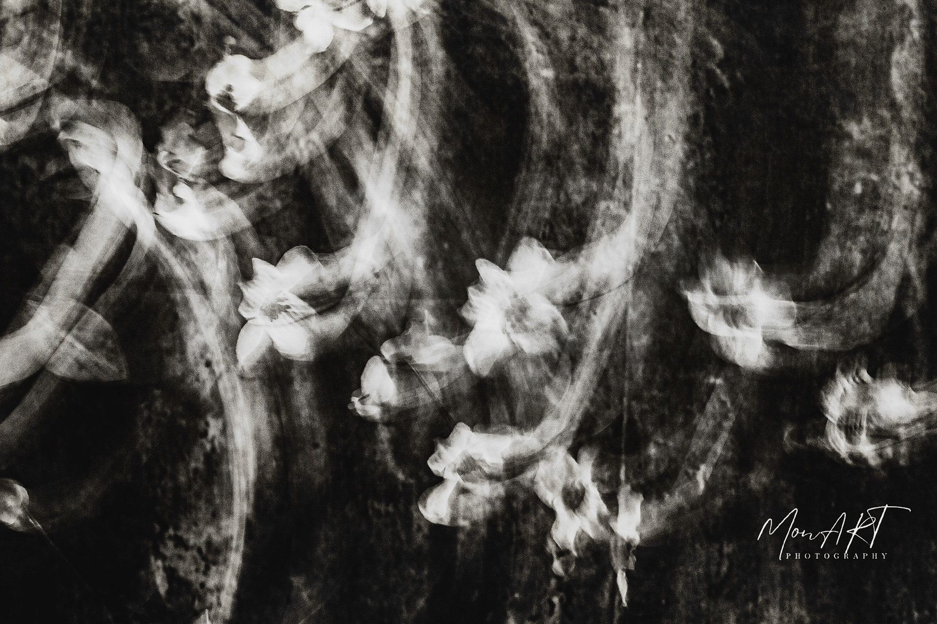 Ed. 1/10 Sizes: 30x40; 40x50; 40x60; 60x80, No framed Paper: Hahnemuhle, German Etching, 310gsm