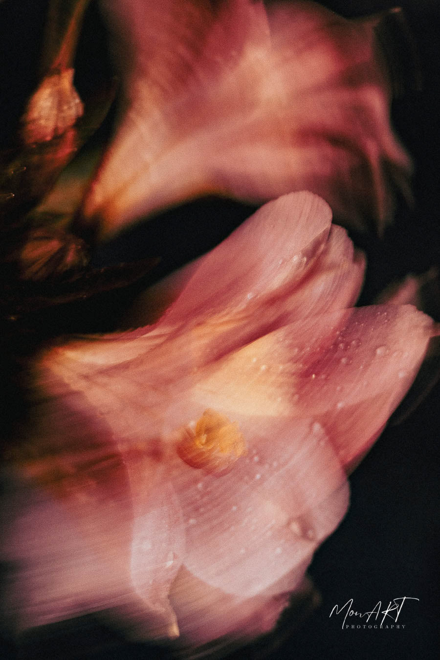 The Waltz, Sizes: 40x30, 50x40, 60x40, 80x60 Hahnemuhle, Aquarelle Rag, 310gsm