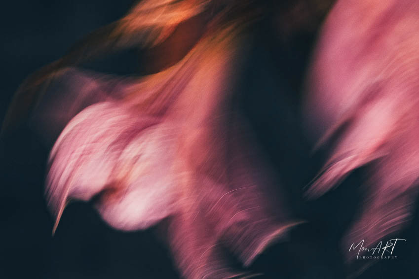 The Waltz, Sizes: 30x40, 40x50, 40x60, 60x80 Hahnemuhle, Aquarelle Rag, 310gsm