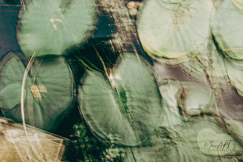 The Pond, Sizes: 30x40, 40x50, 40x60, 60x80 Hahnemuhle, Aquarelle Rag, 310gsm