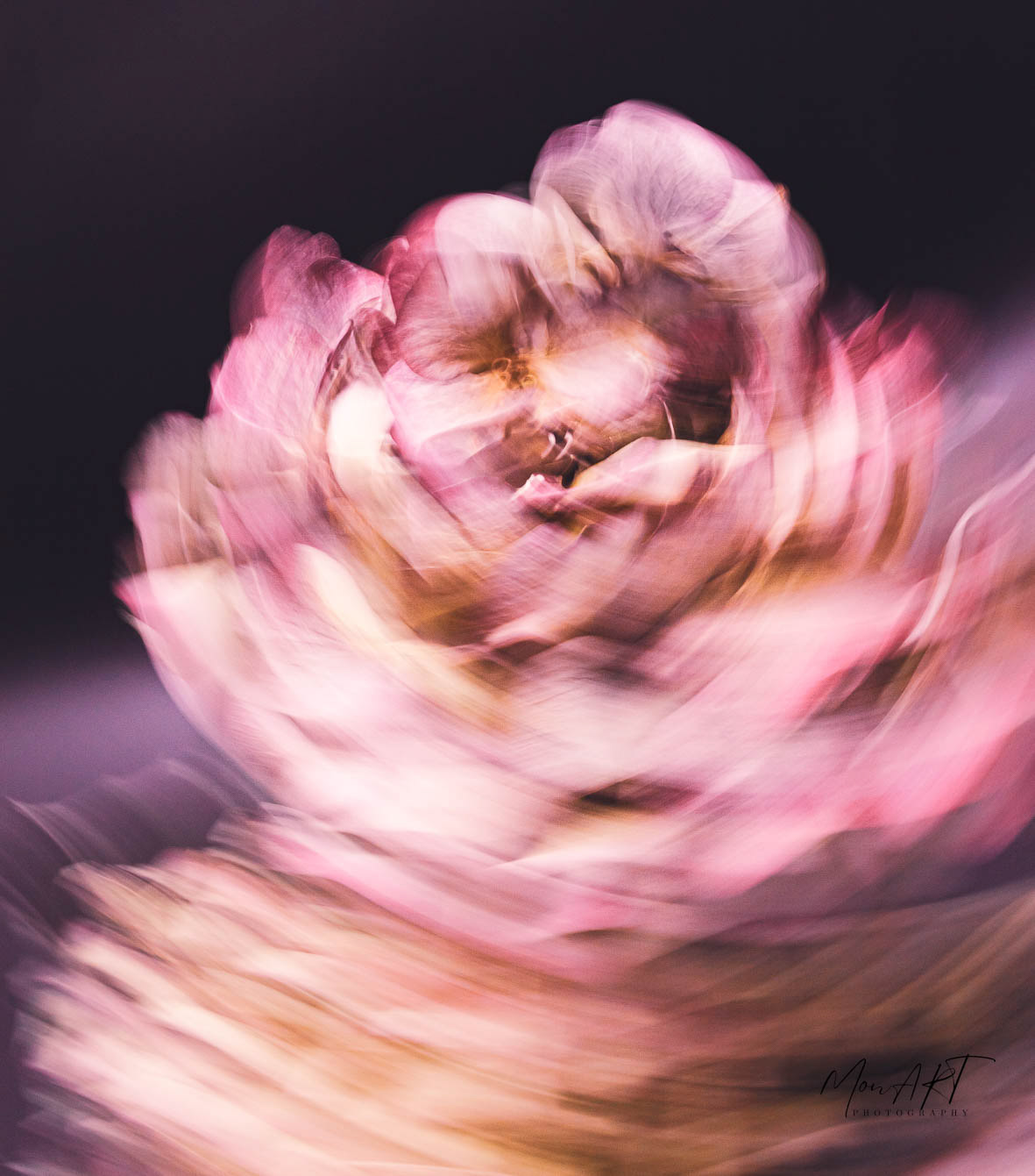 Ballroom Dance Sizes: 40x30, 50x40, 60x40, 80x60 Hahnemuhle, Metallic, 340gsm