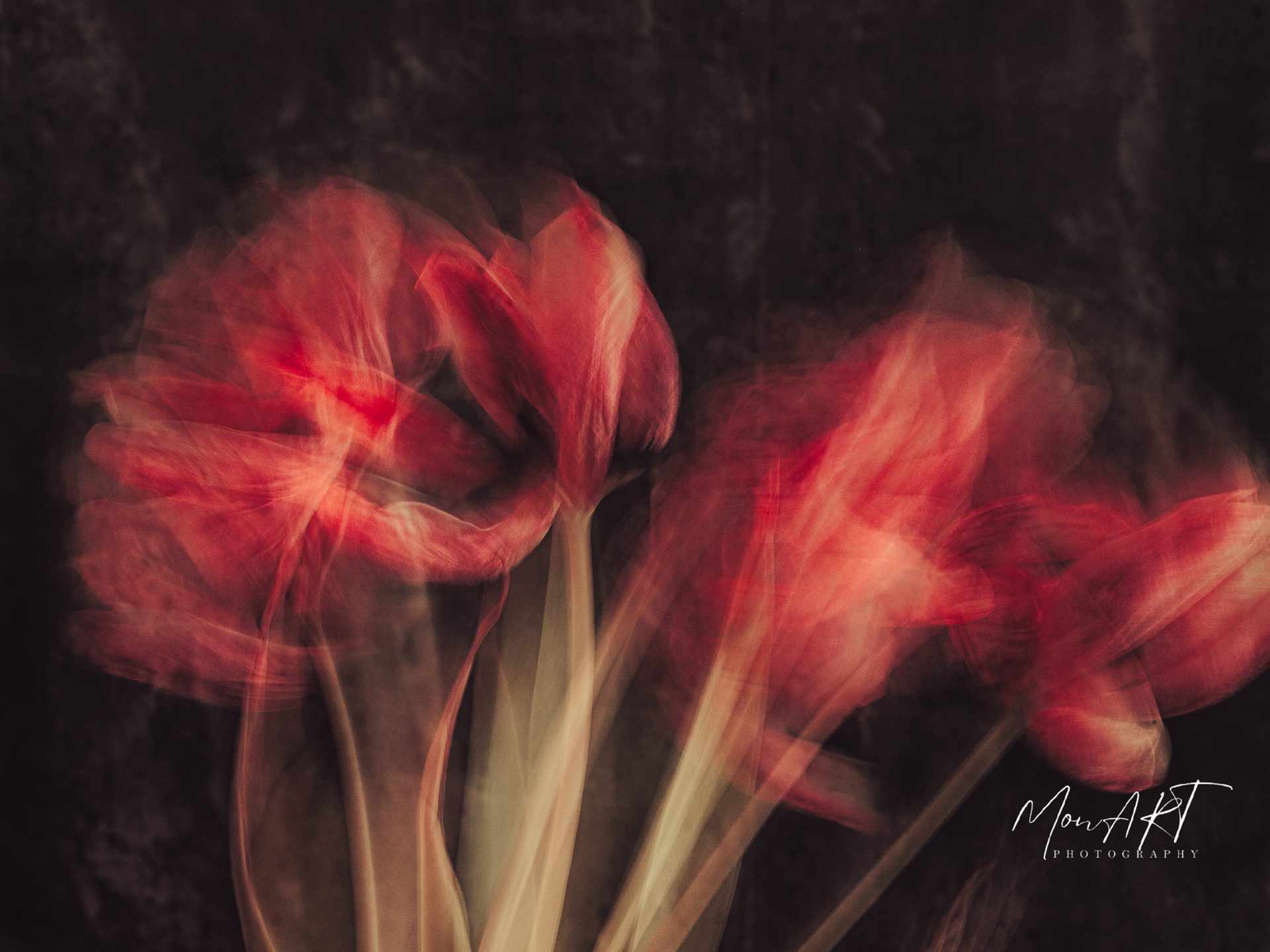 Ablaze, Sizes: 30x40, 40x50, 40x60, 60x80 Hahnemuhle, Museum Etching, 350gsm