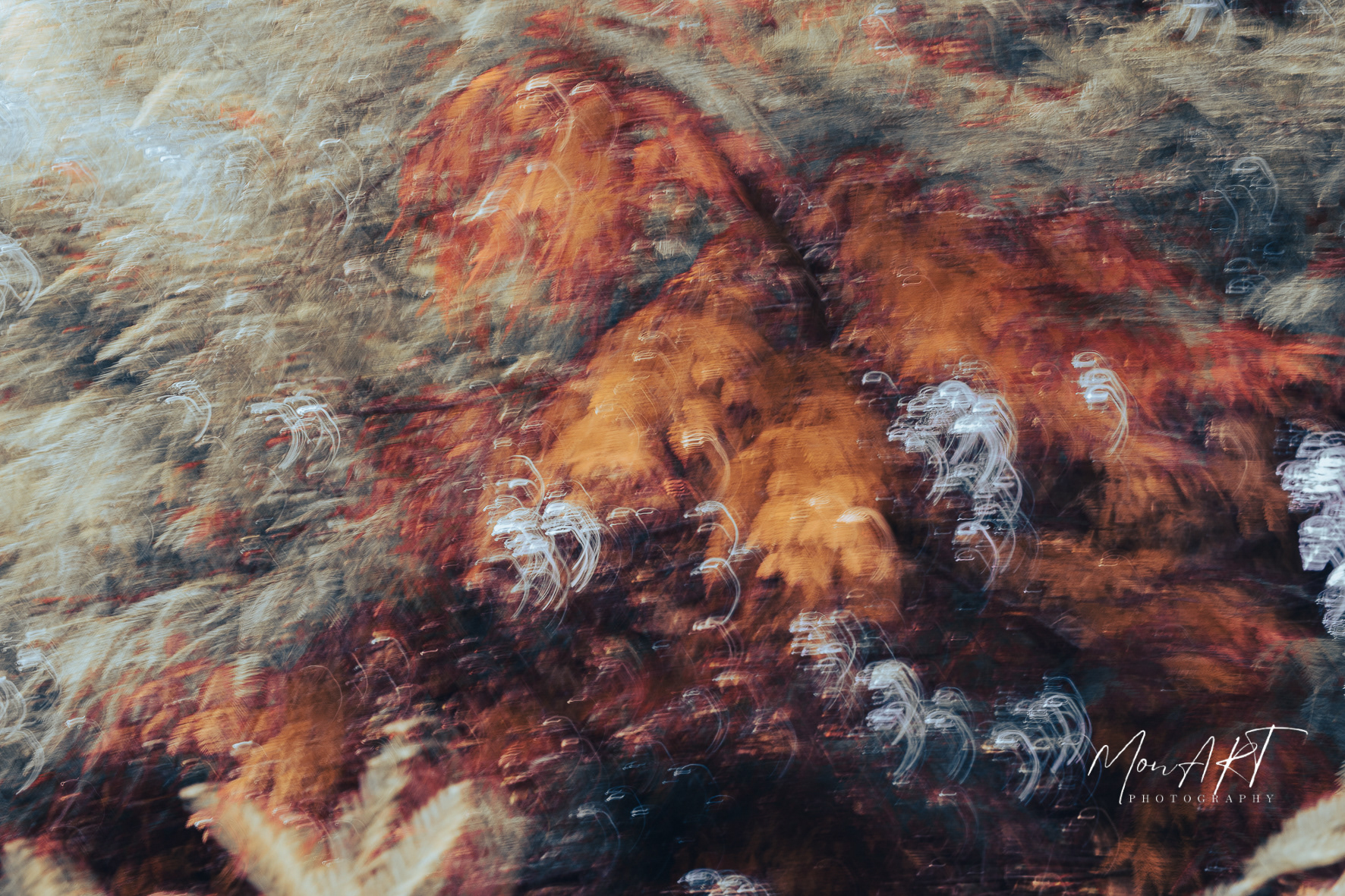 Amber Dreams, Sizes: 30x40, 40x50, 40x60, 60x80 Hahnemuhle, Aquarelle Rag,310gsm 