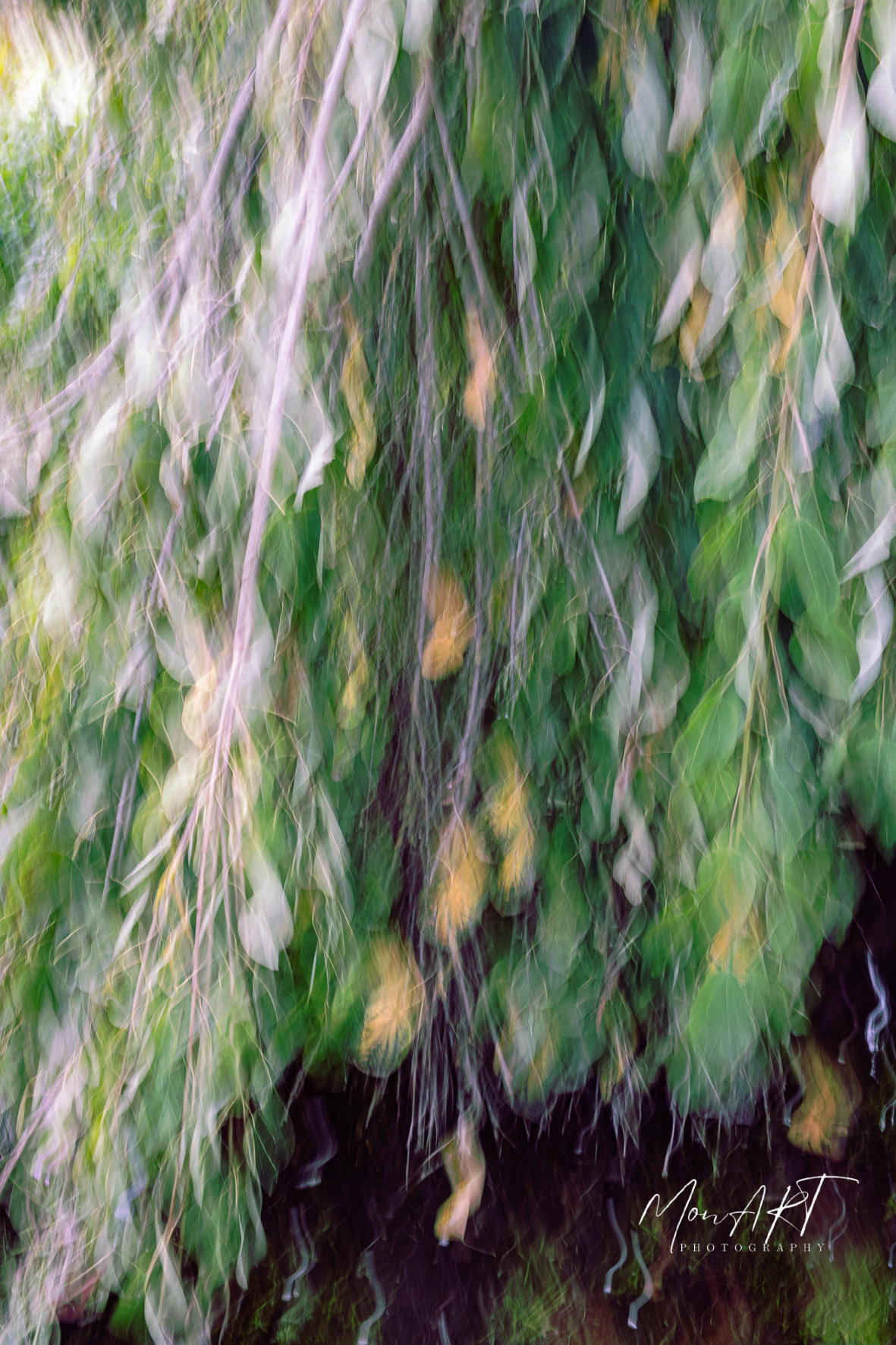 Rustle, Sizes: 40x30, 50x40, 60x40, 80x60 Hahnemuhle, Aquarelle Rag, 310gsm