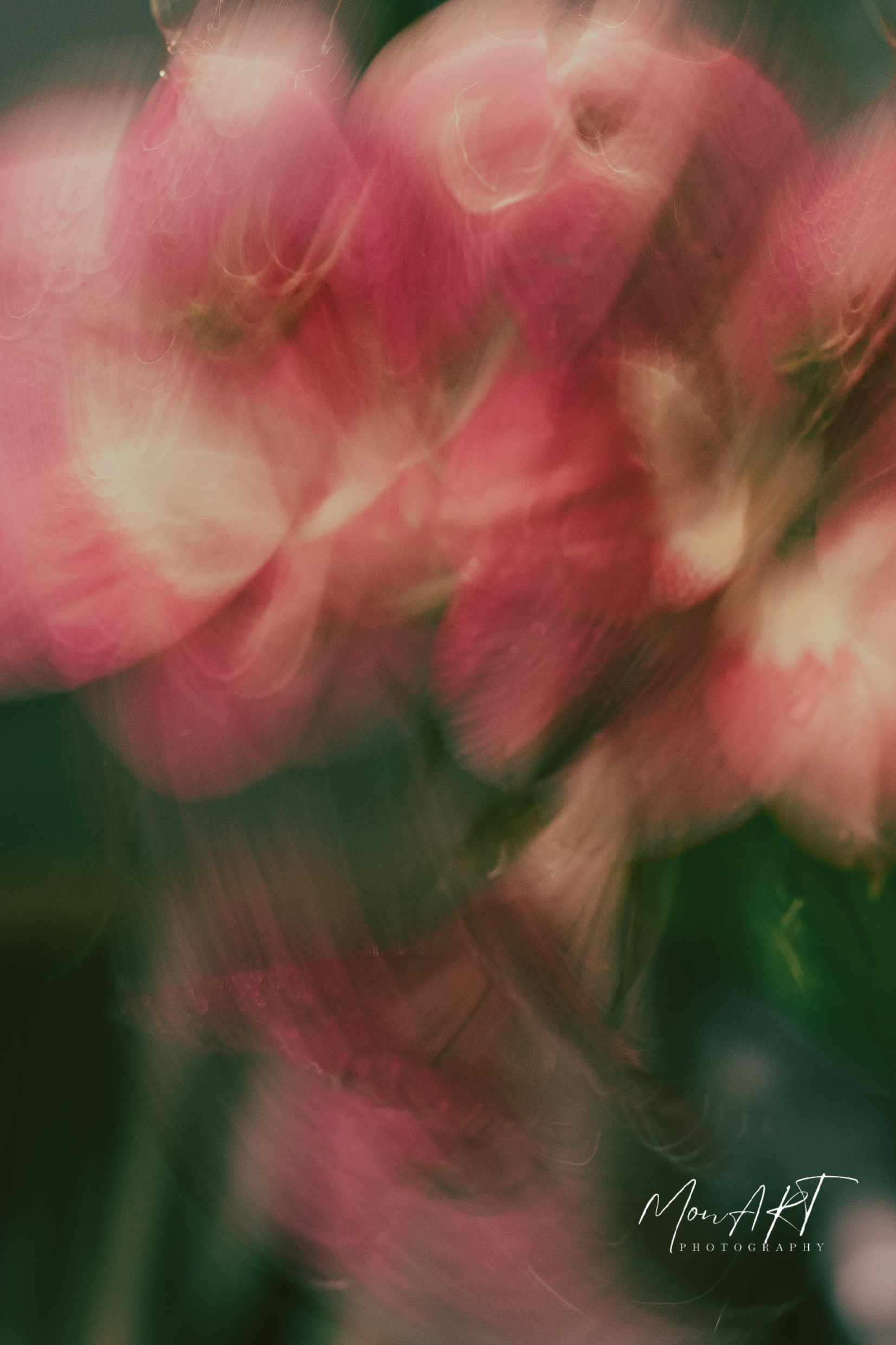 The Waltz, Sizes: 40x30, 50x40, 60x40, 80x60 Hahnemuhle, Aquarelle Rag, 310gsm