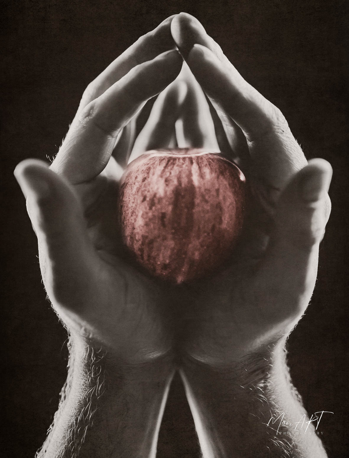  Ed. 1/10 Sizes: 40x30; 50x40; 60x40;  80x60, No framed  Paper: Hahnemuhle, German  Etching, 310gsm