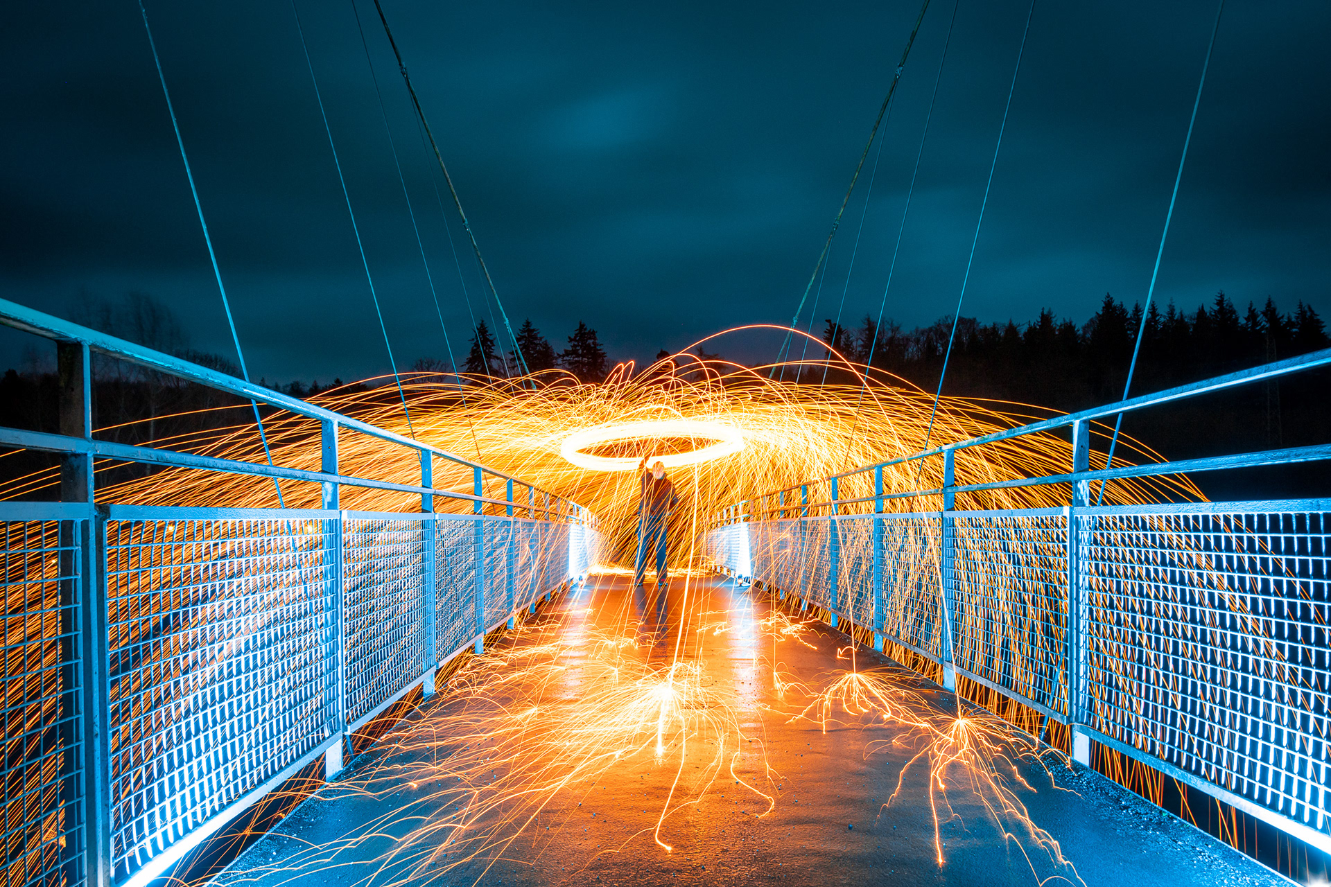 Brücke Enzauenpark Pforzheim