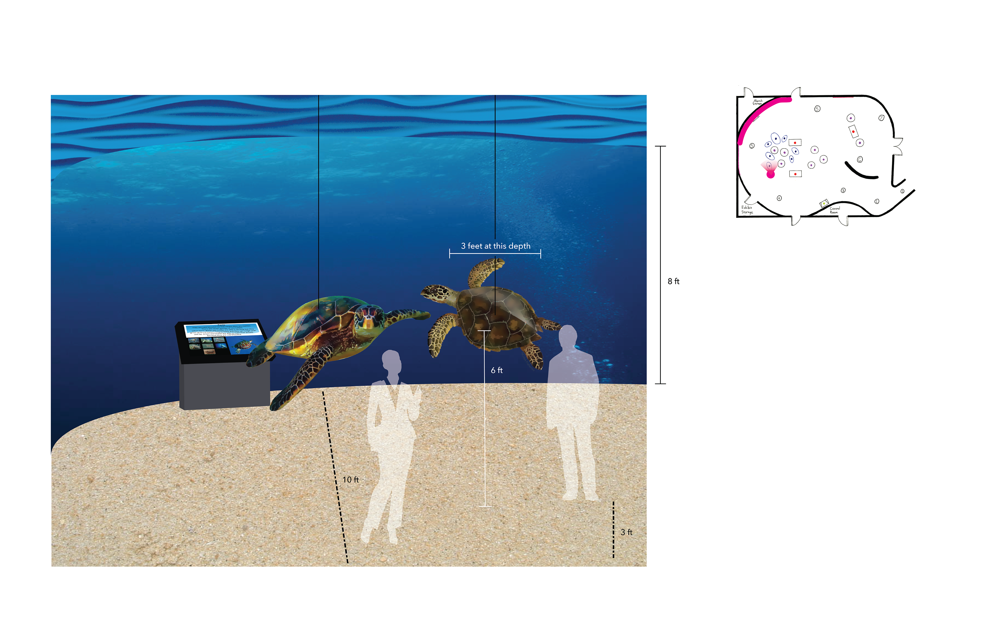 Turtle Replicas and Digital Station