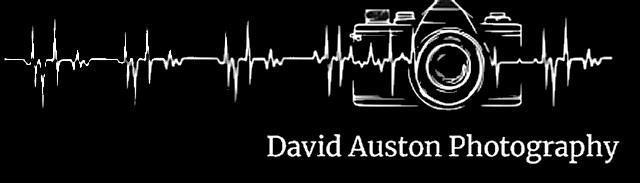David Auston Photography
