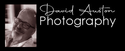 David Auston Photography