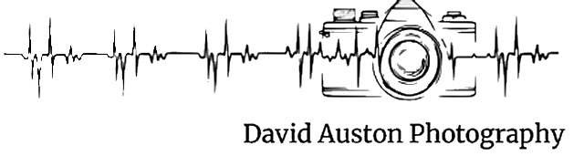 David Auston Photography