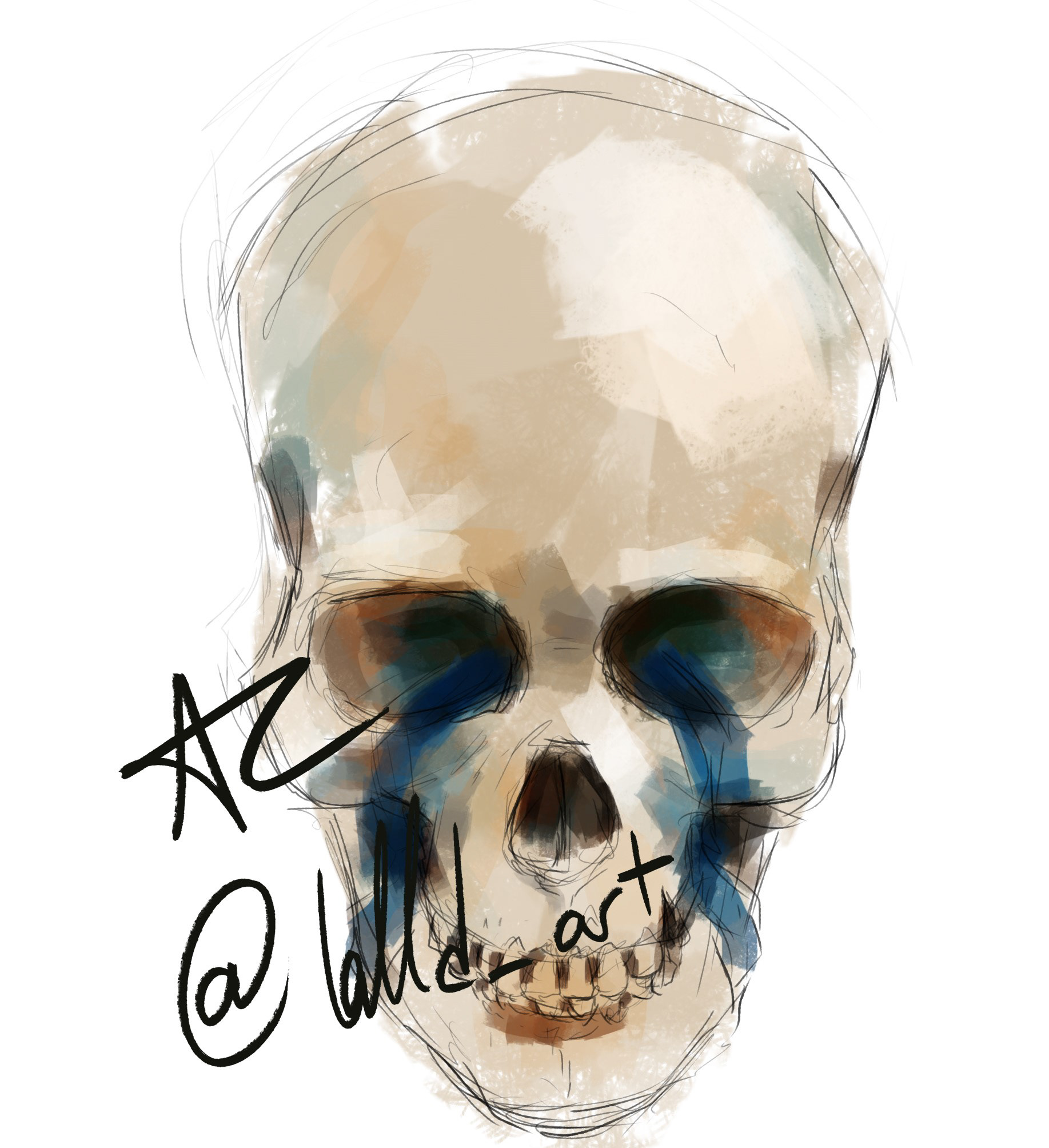 human skull_02
