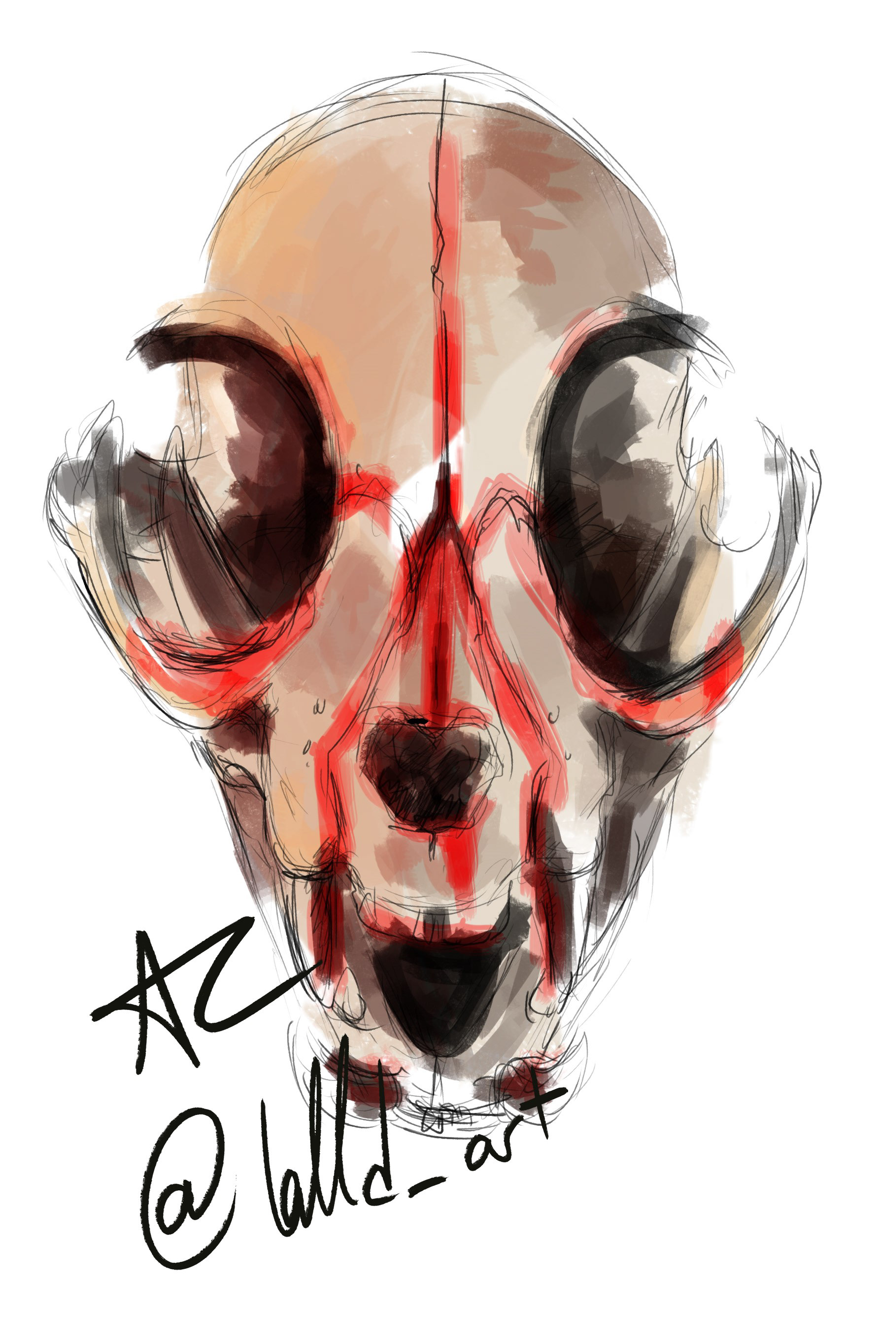 felin skull_01