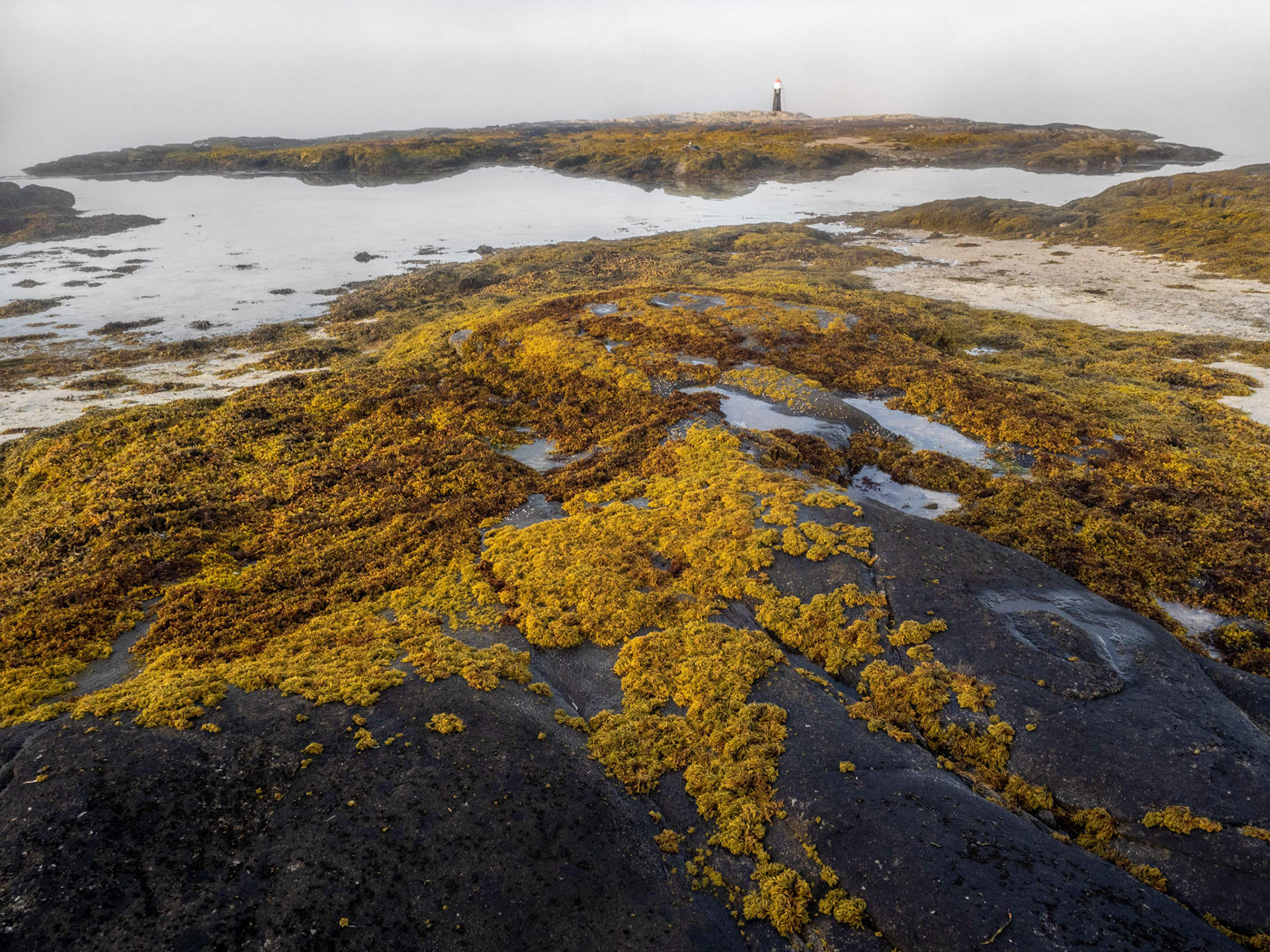 Tranøy i Nordland