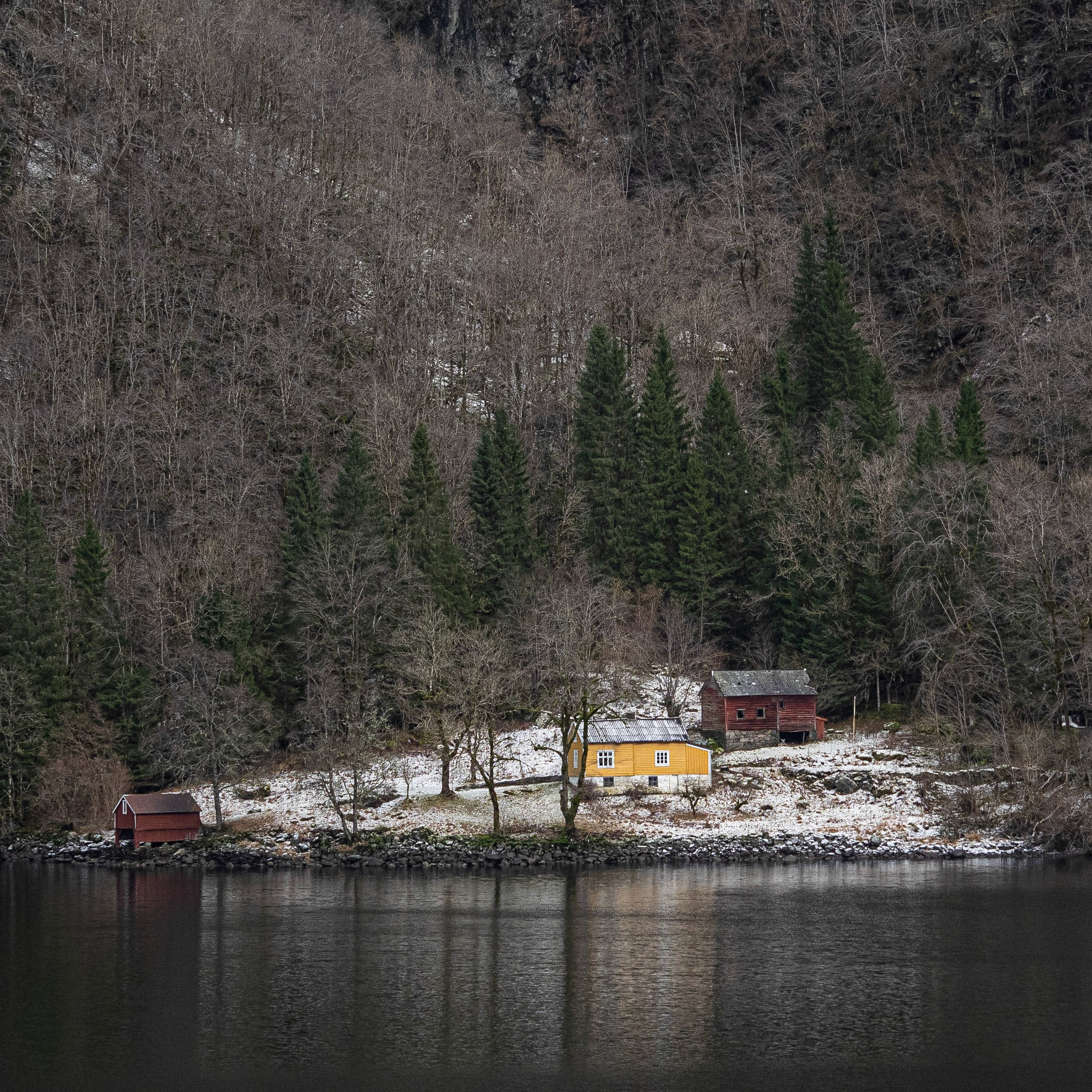 Øreviki 2