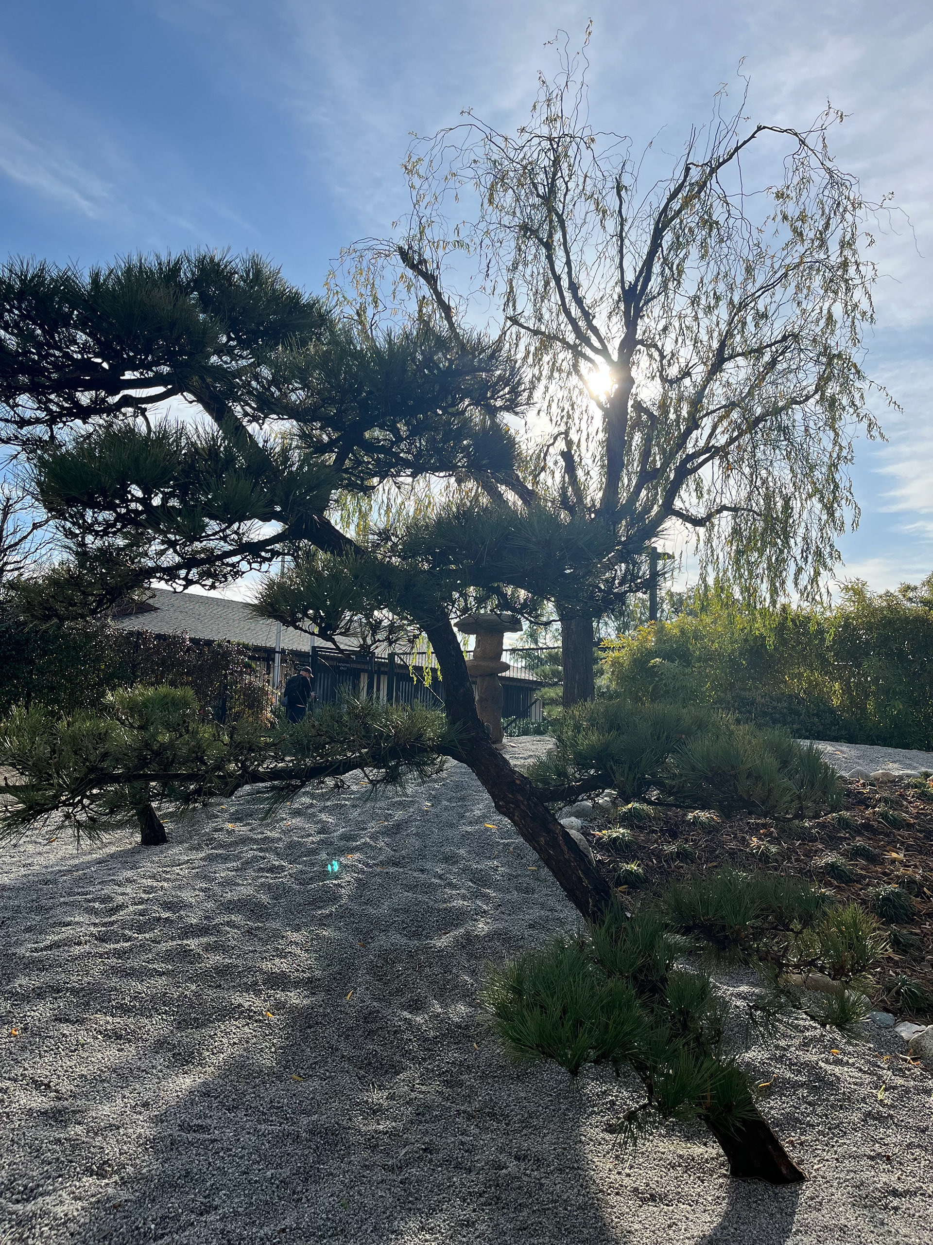 Japanese Friendship Garden