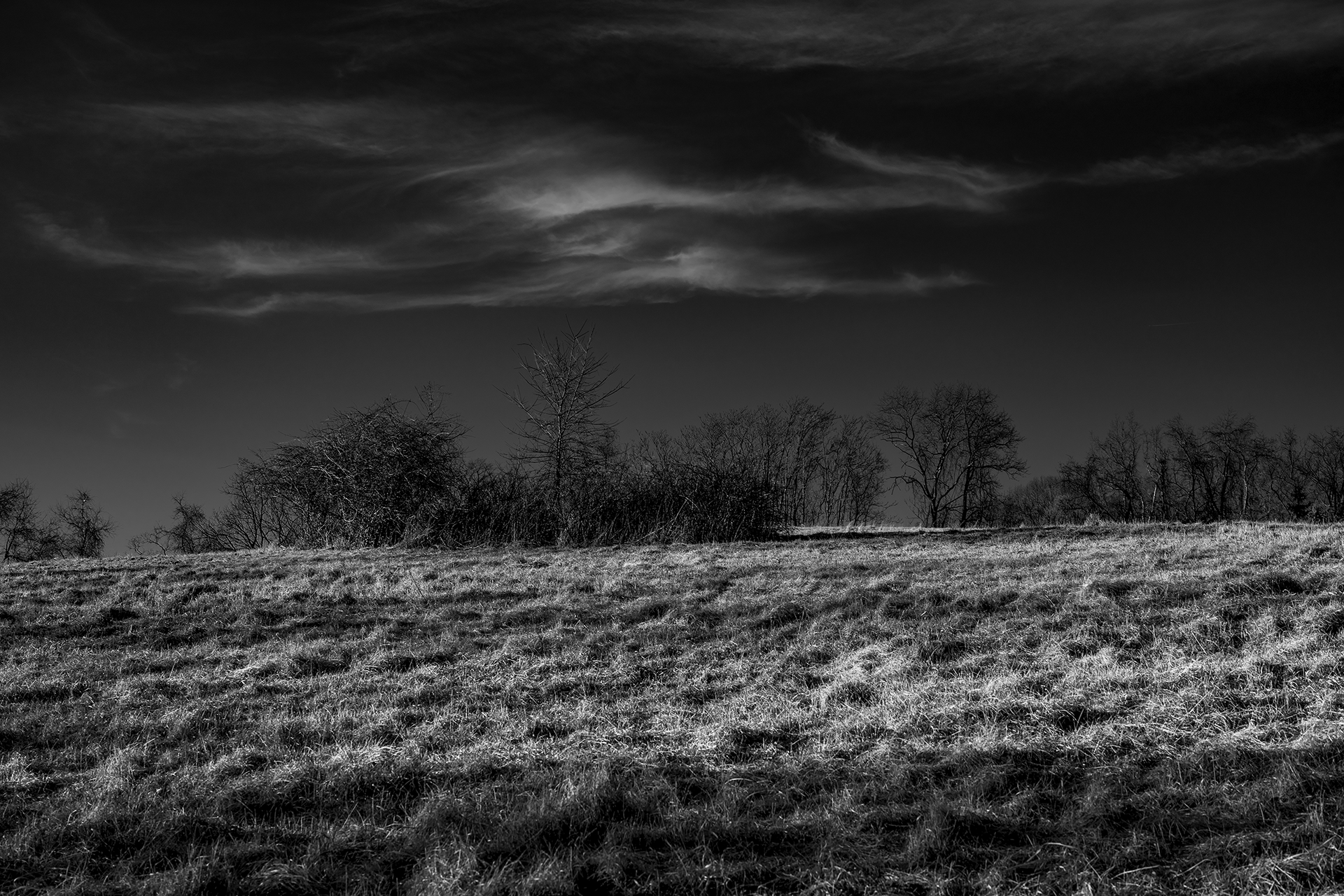 ryan-bucchianeri-the-vulture-fields-photograph