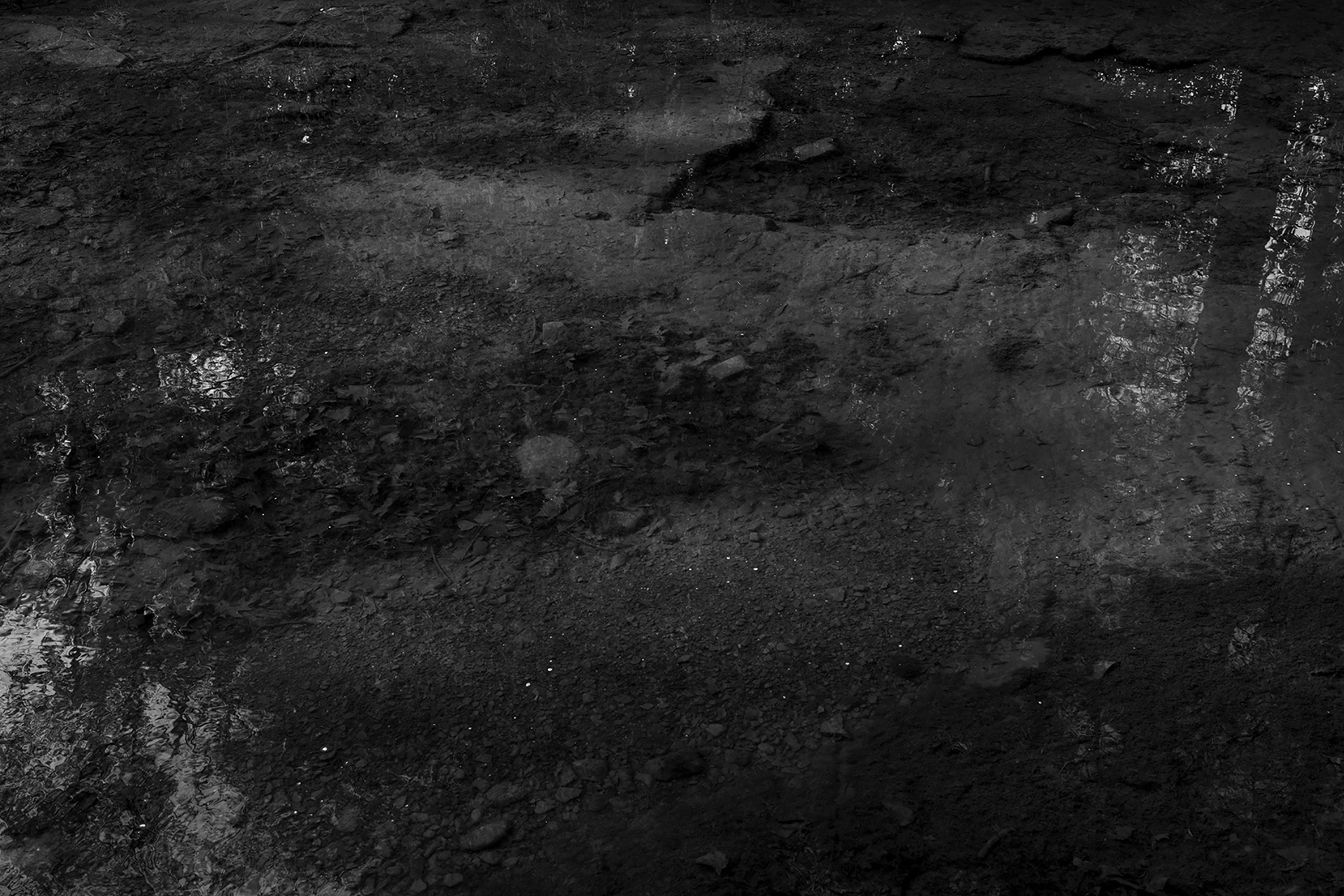 Subtle natural reflection blending rock and water. Visual composition by Bucchianeri, professional photographer and artist.