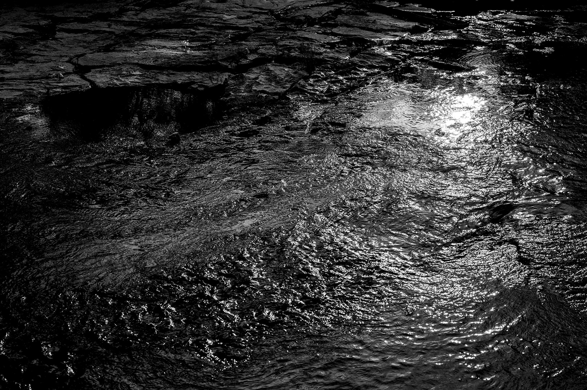 Dark reflections and layered light on water. Fine art photograph by Ryan Bucchianeri, visual artist.