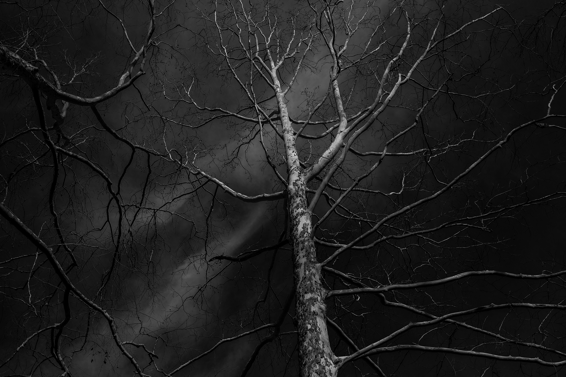ryan-bucchianeri-eidolon-photograph