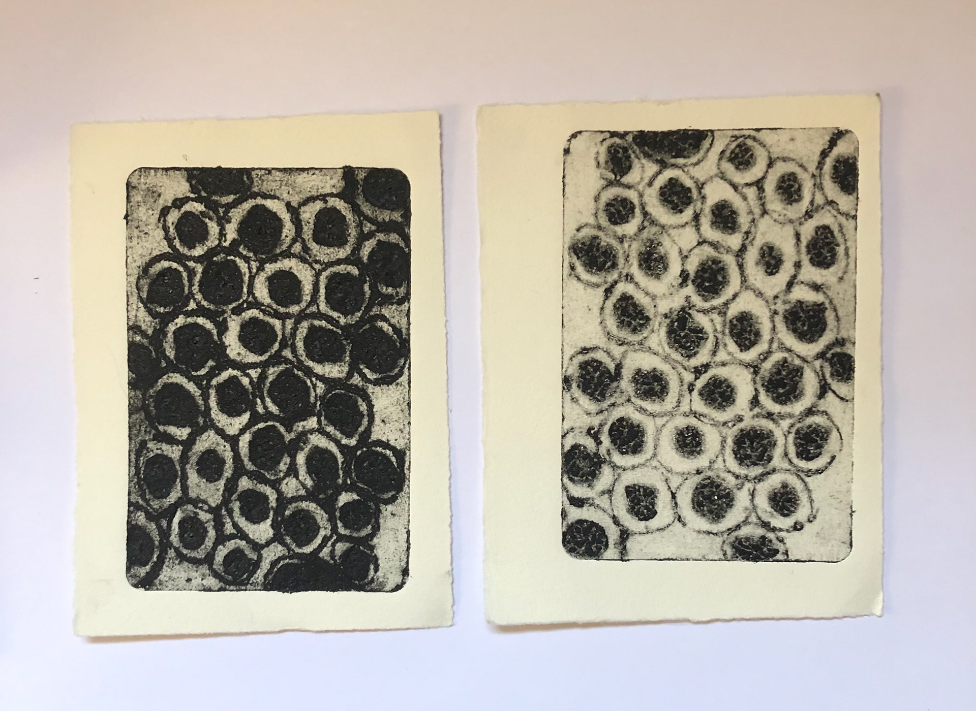 Salt and Glue, Collagraph