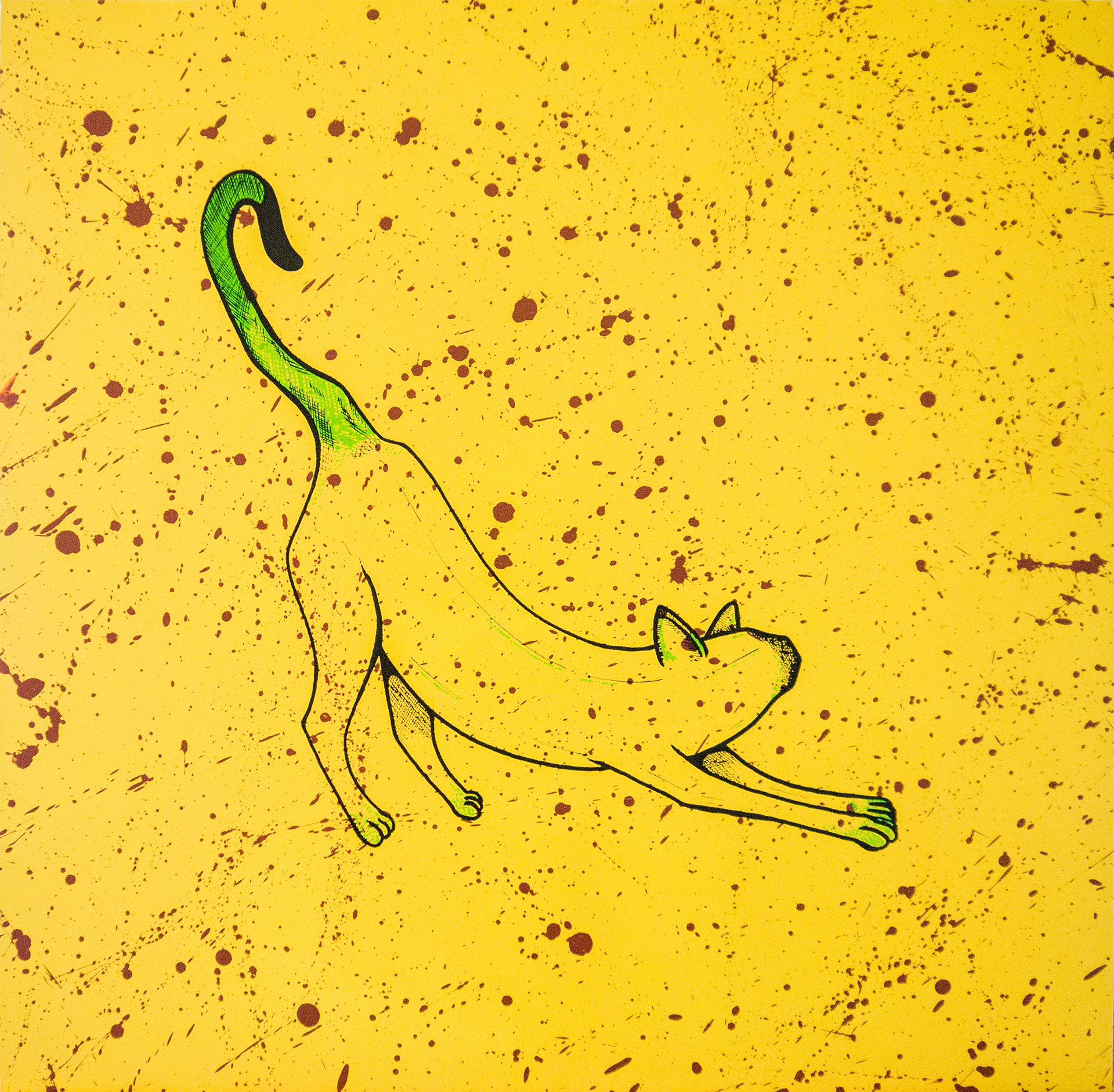 Banankatt, 2013