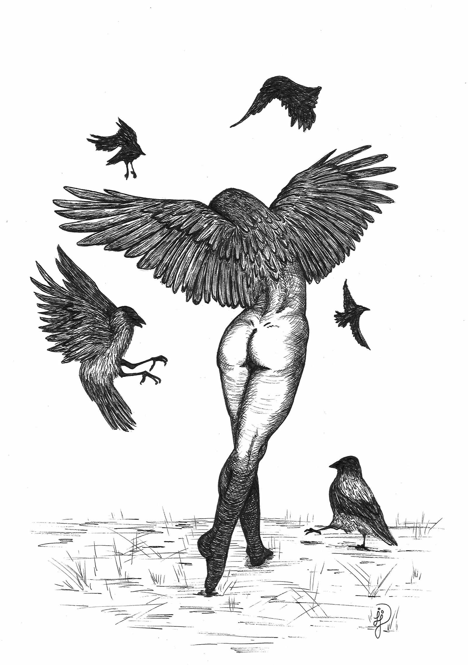 Dansar med kråkor