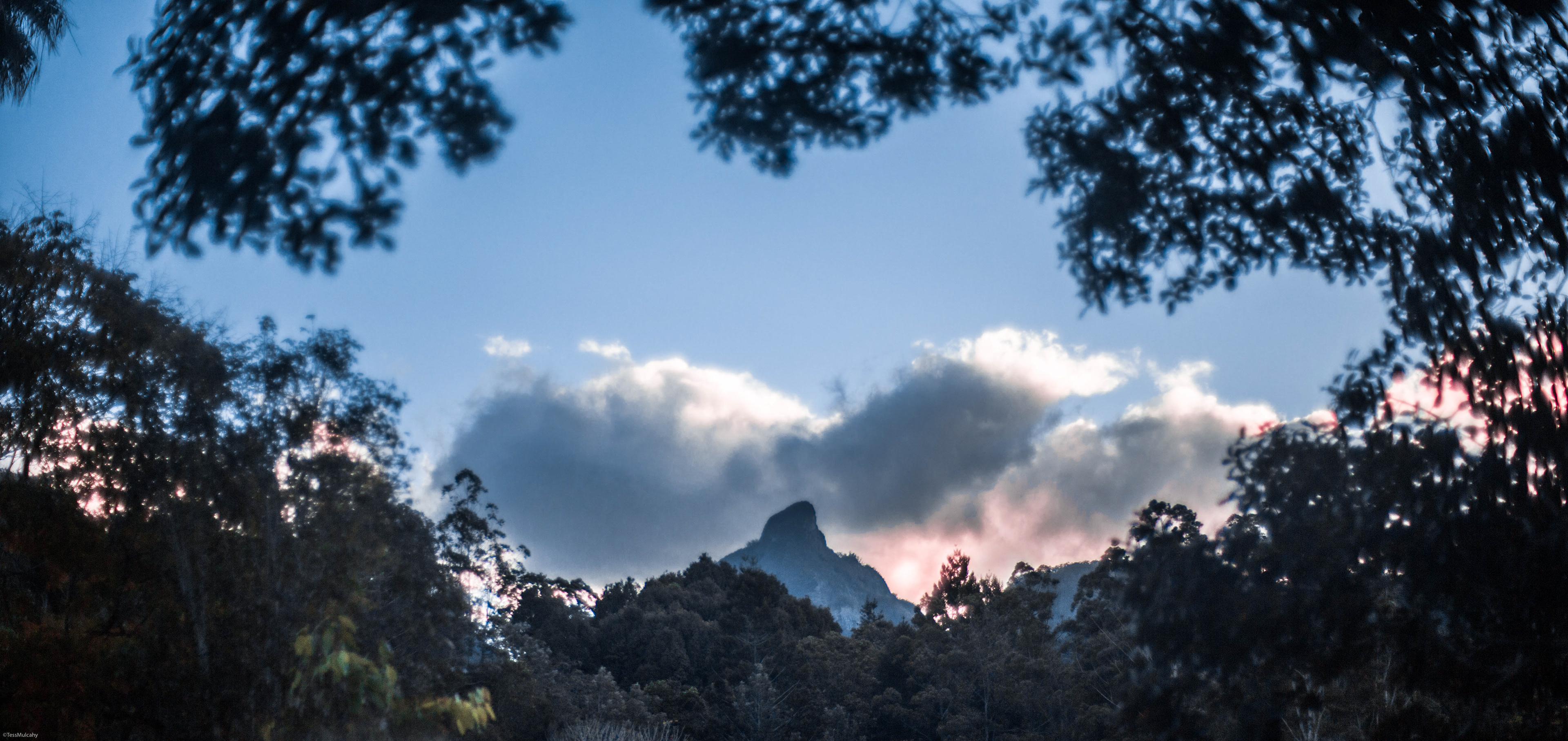 Mt Warning