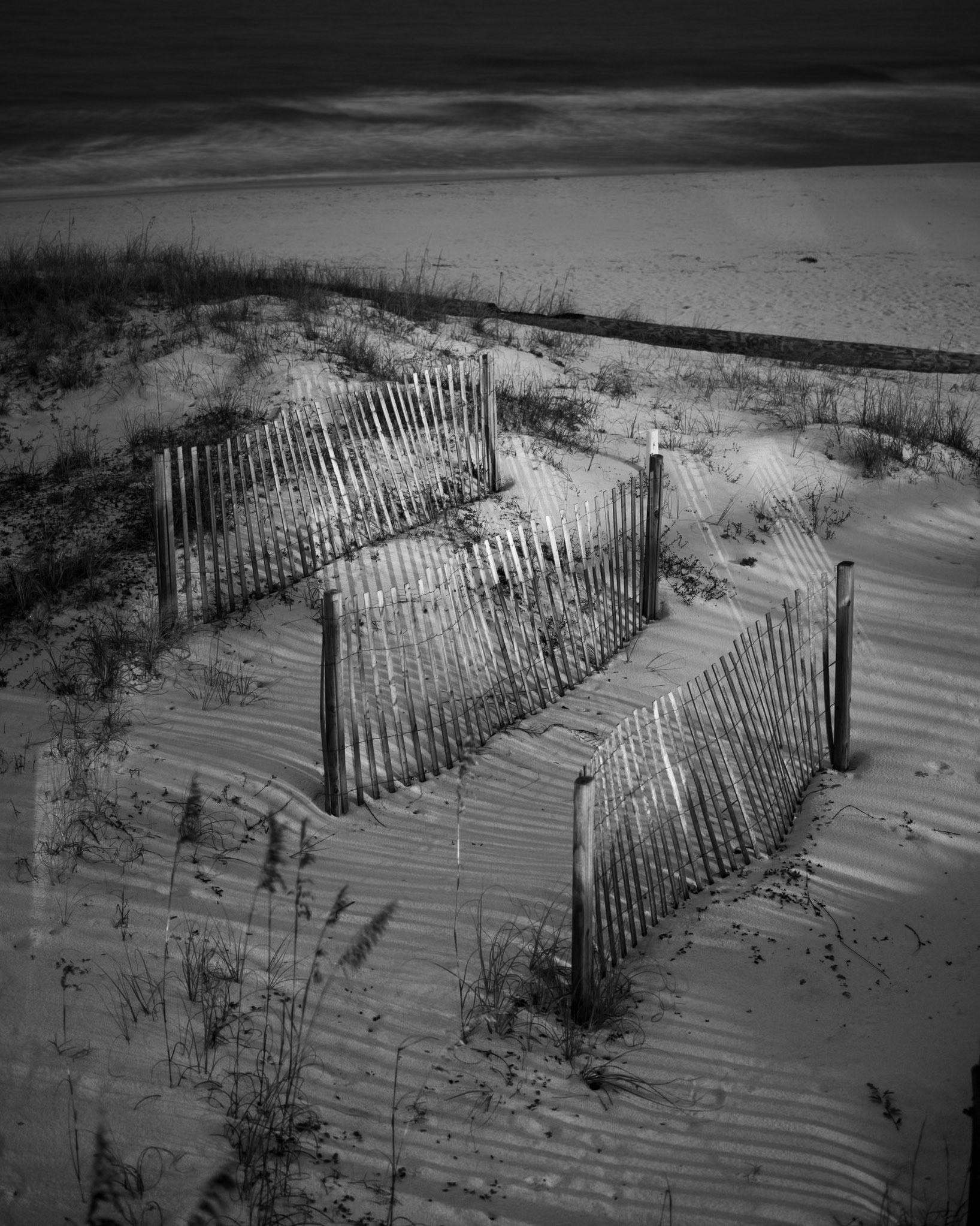 the beach at night is magical.