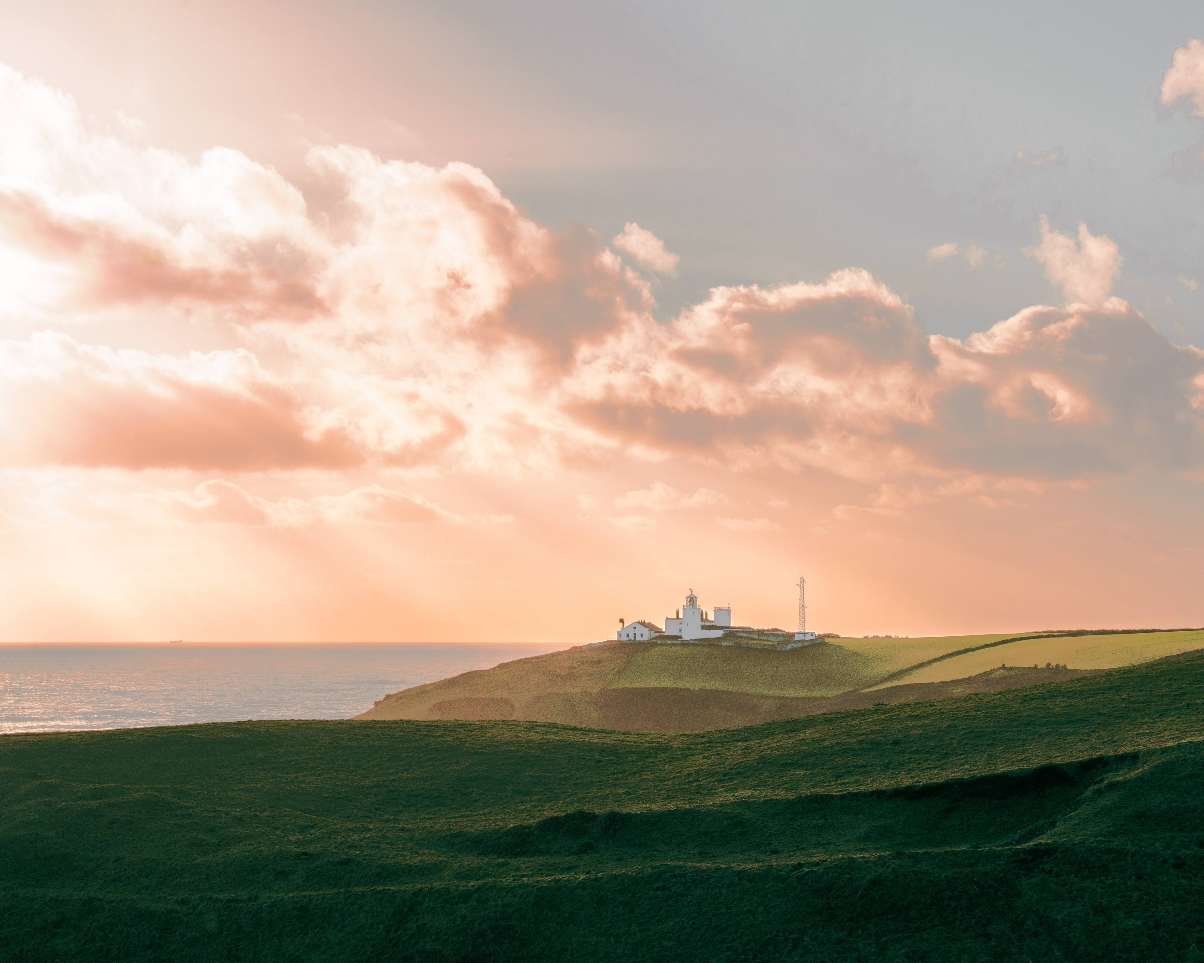 The Lizard | ©JessicaHollis2026