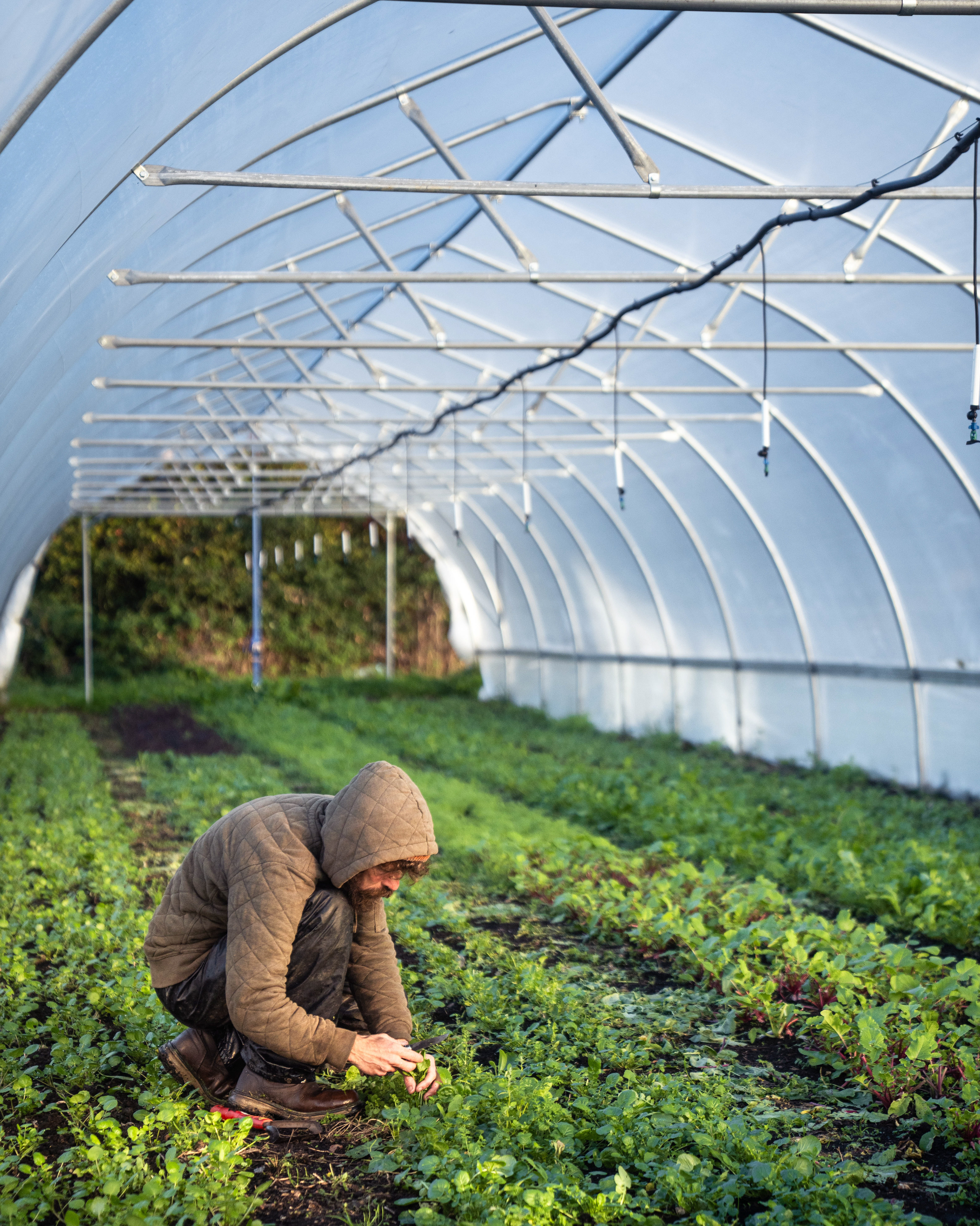 Trill Farm | ©JessicaHollis2025