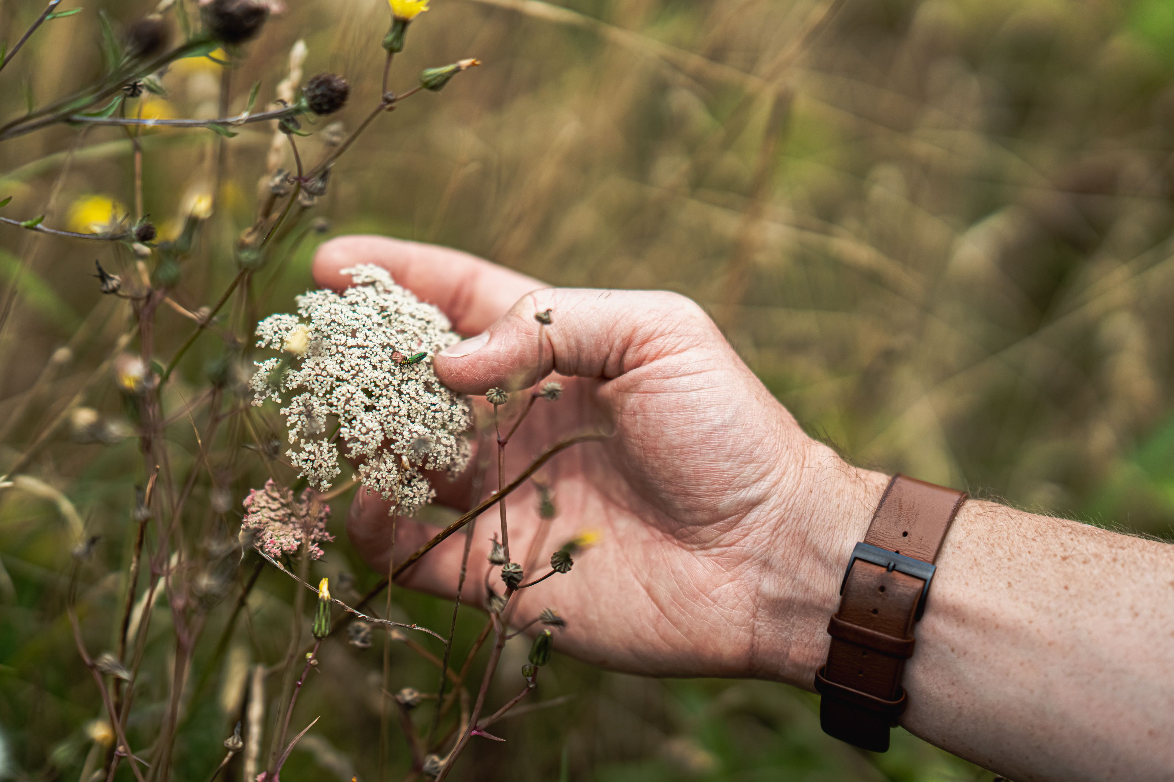 James Winrow | ©JessicaHollis2023