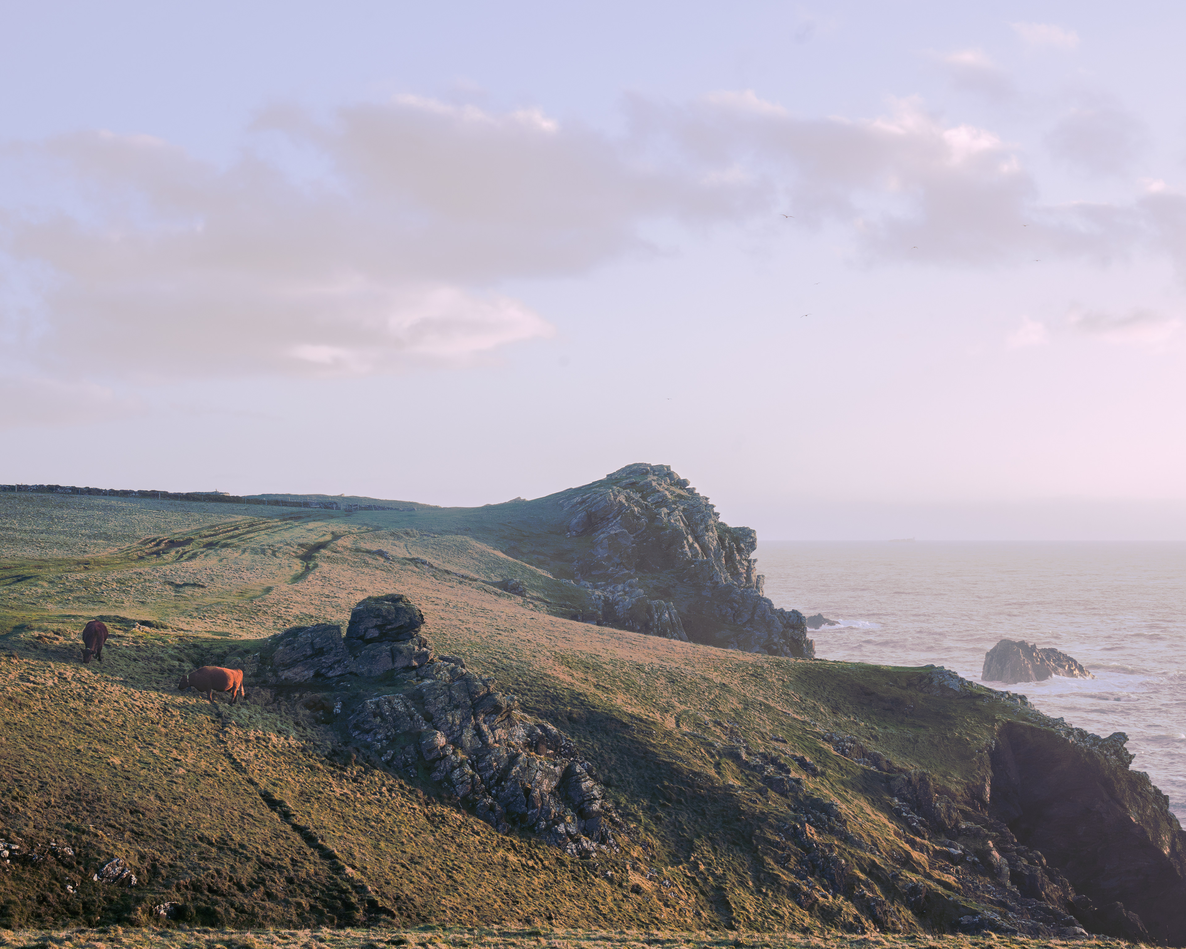 Kaynance Cove | ©JessicaHollis2026