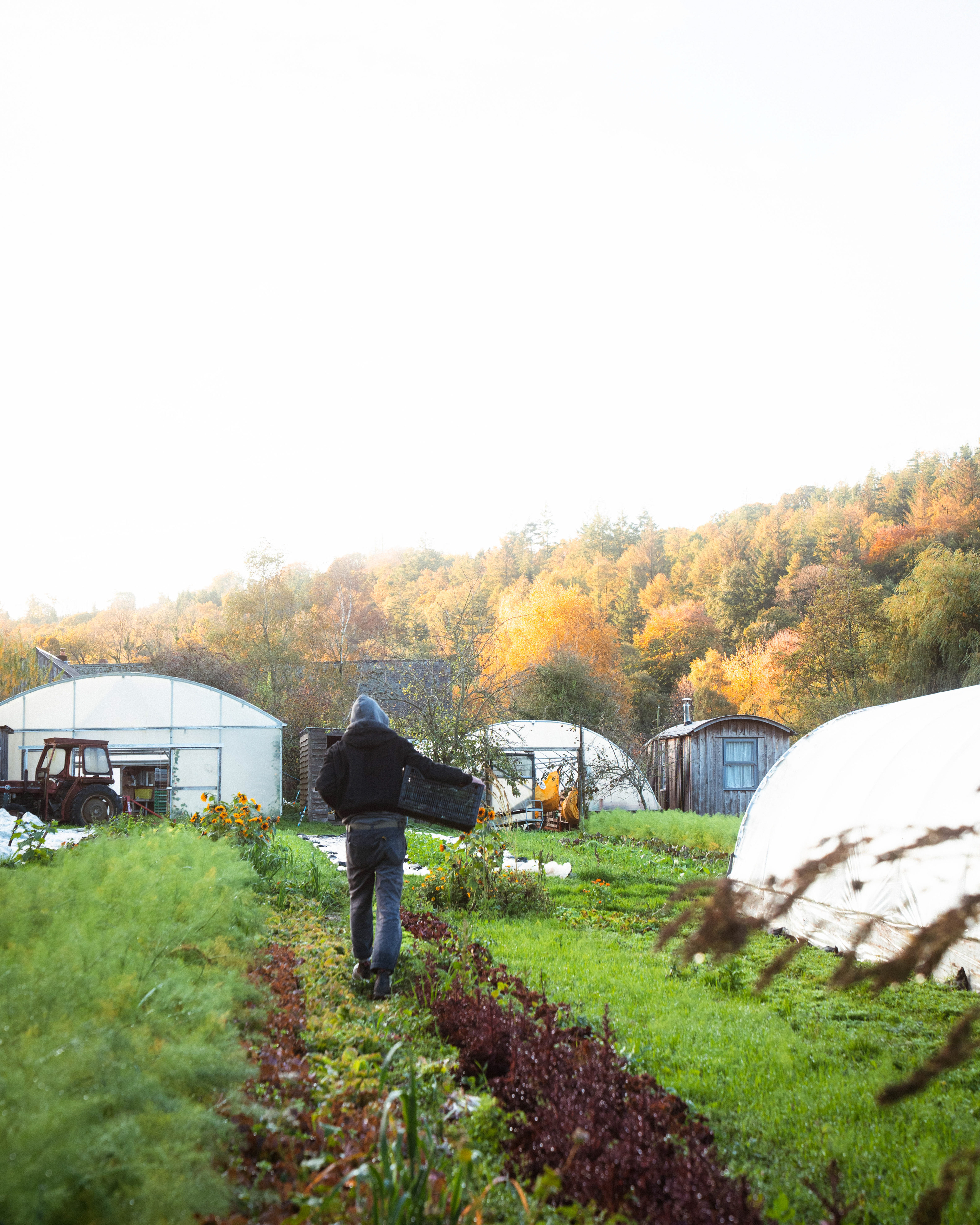 Trill Farm | ©JessicaHollis2025