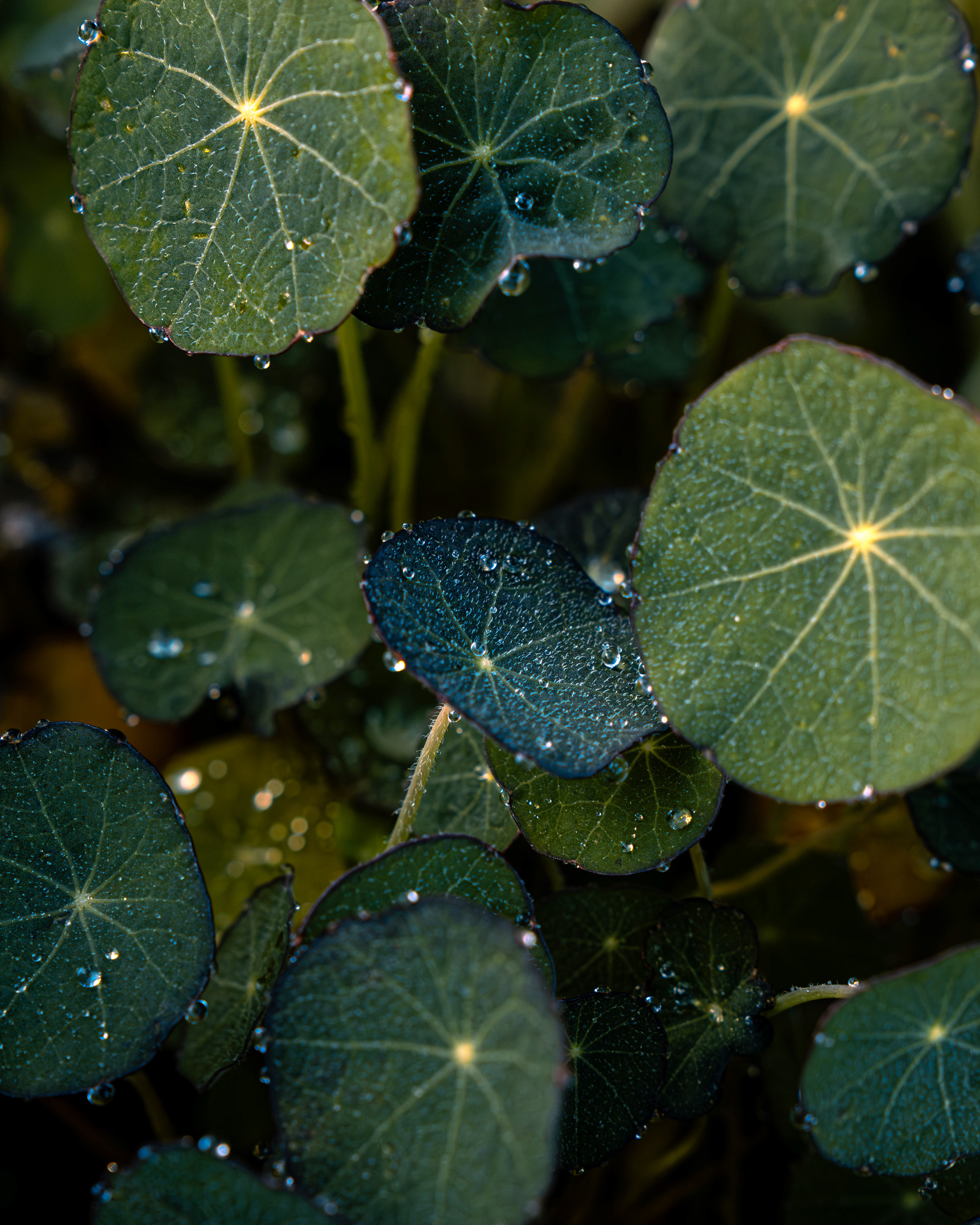 Trill Farm | ©JessicaHollis2025