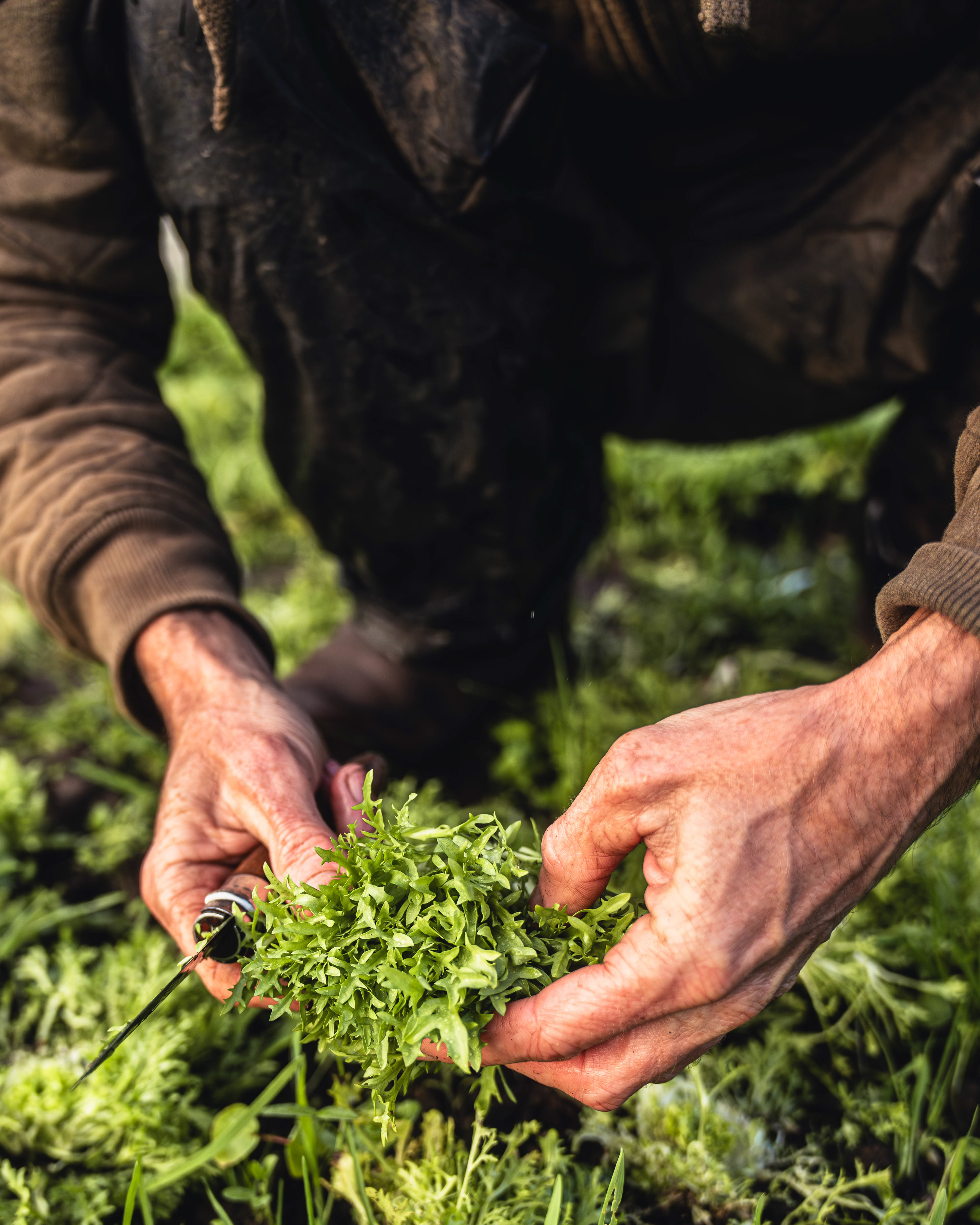 Trill Farm | ©JessicaHollis2025