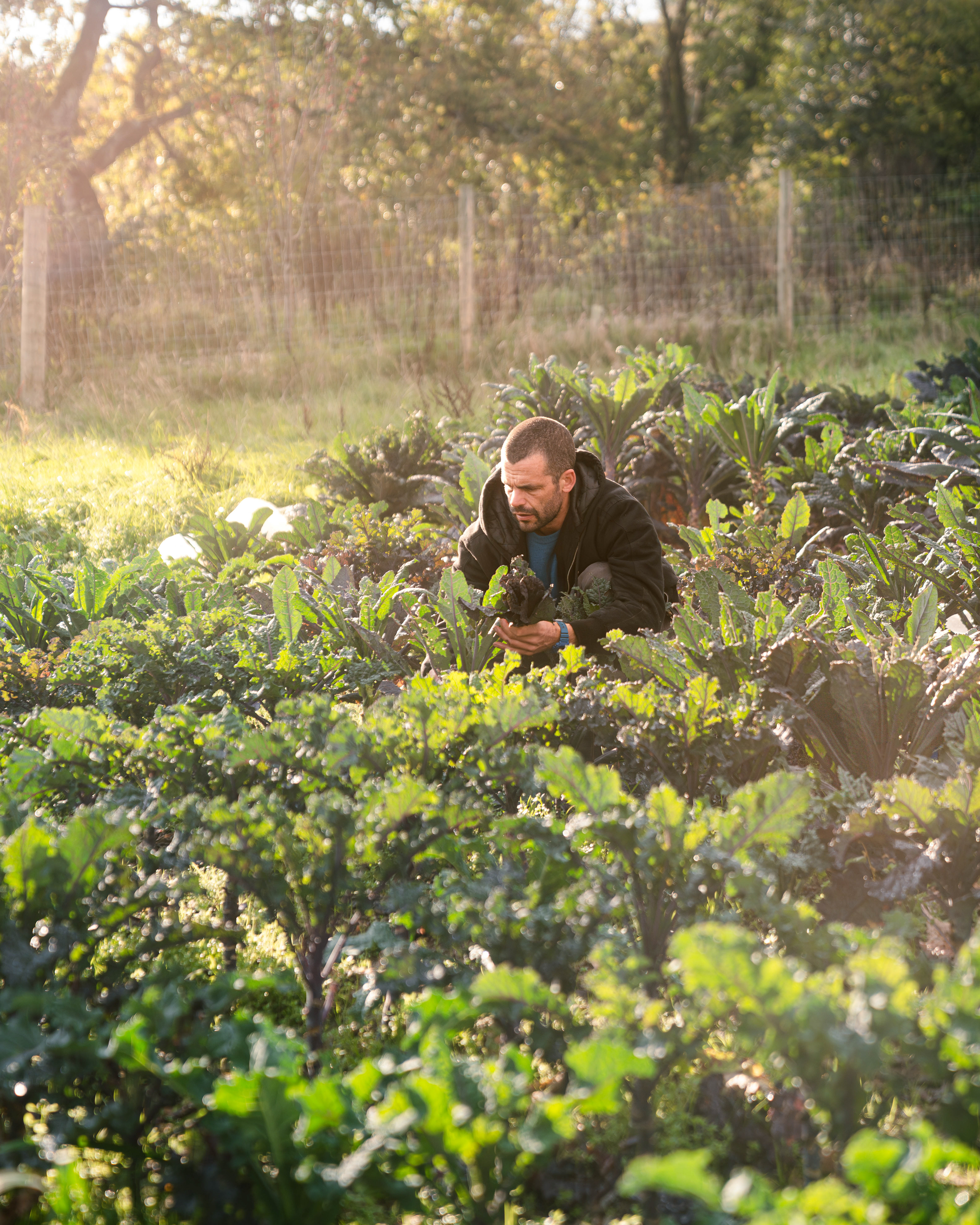 Trill Farm | ©JessicaHollis2025