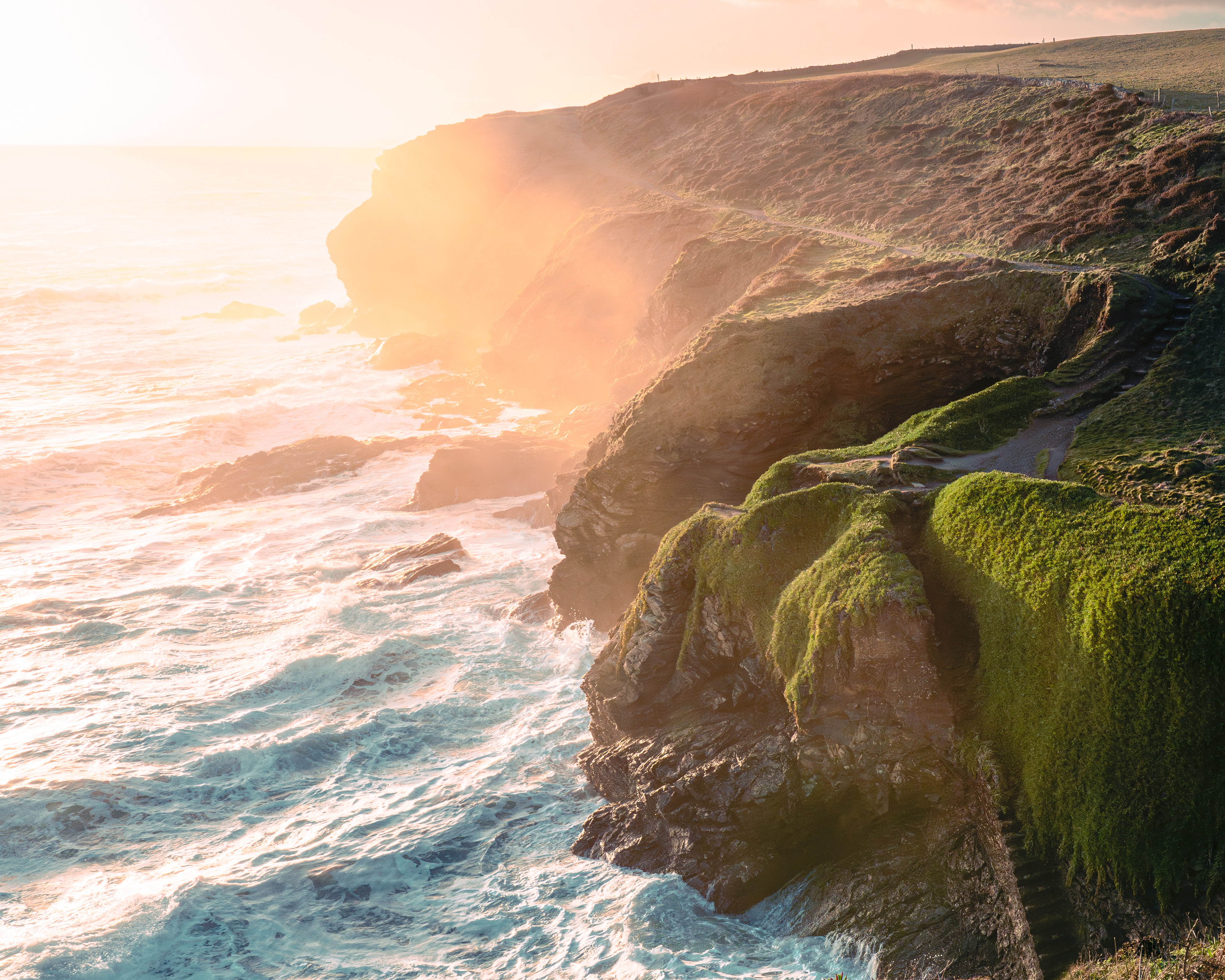 The Lizard | ©JessicaHollis2026