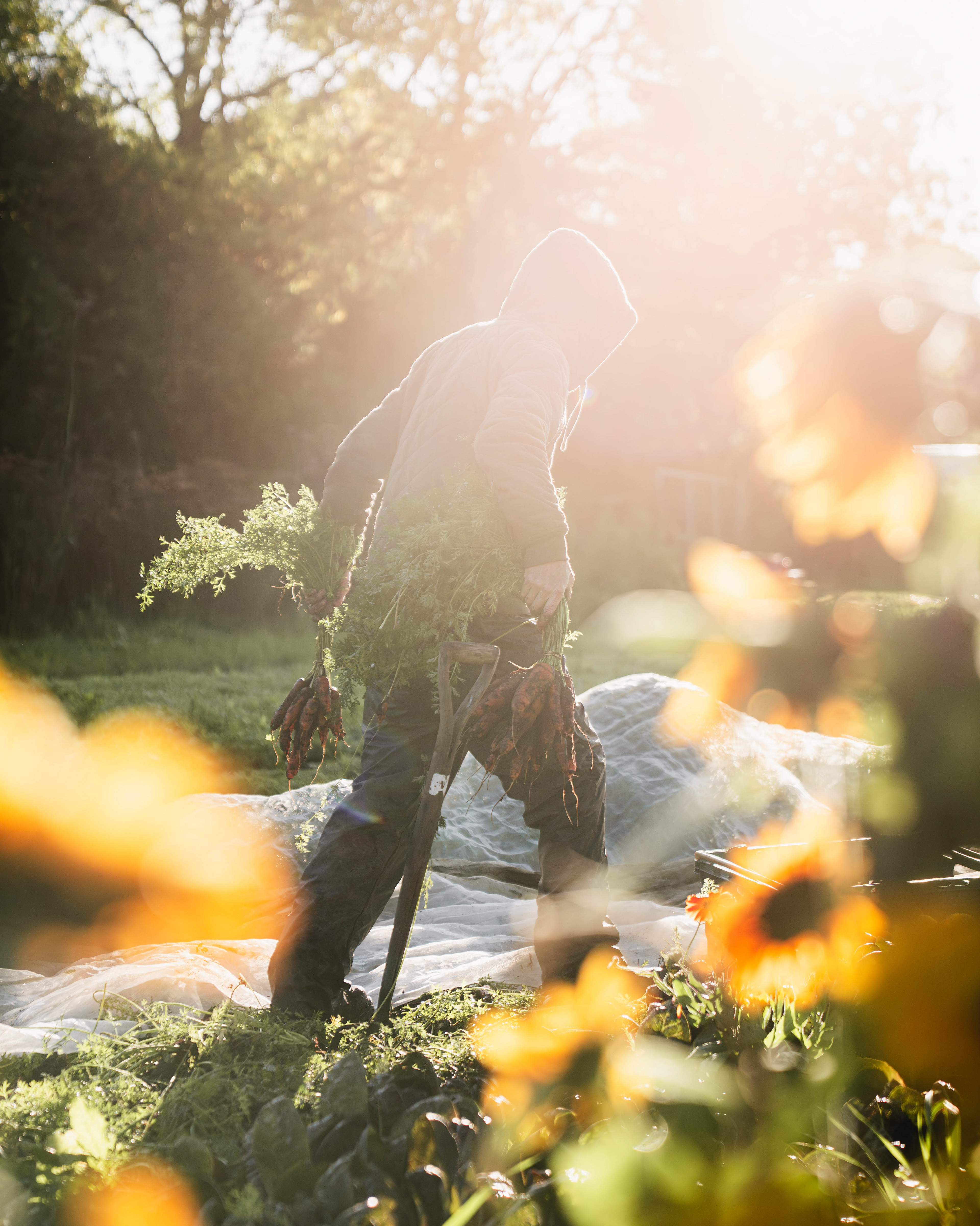 Trill Farm | ©JessicaHollis2025