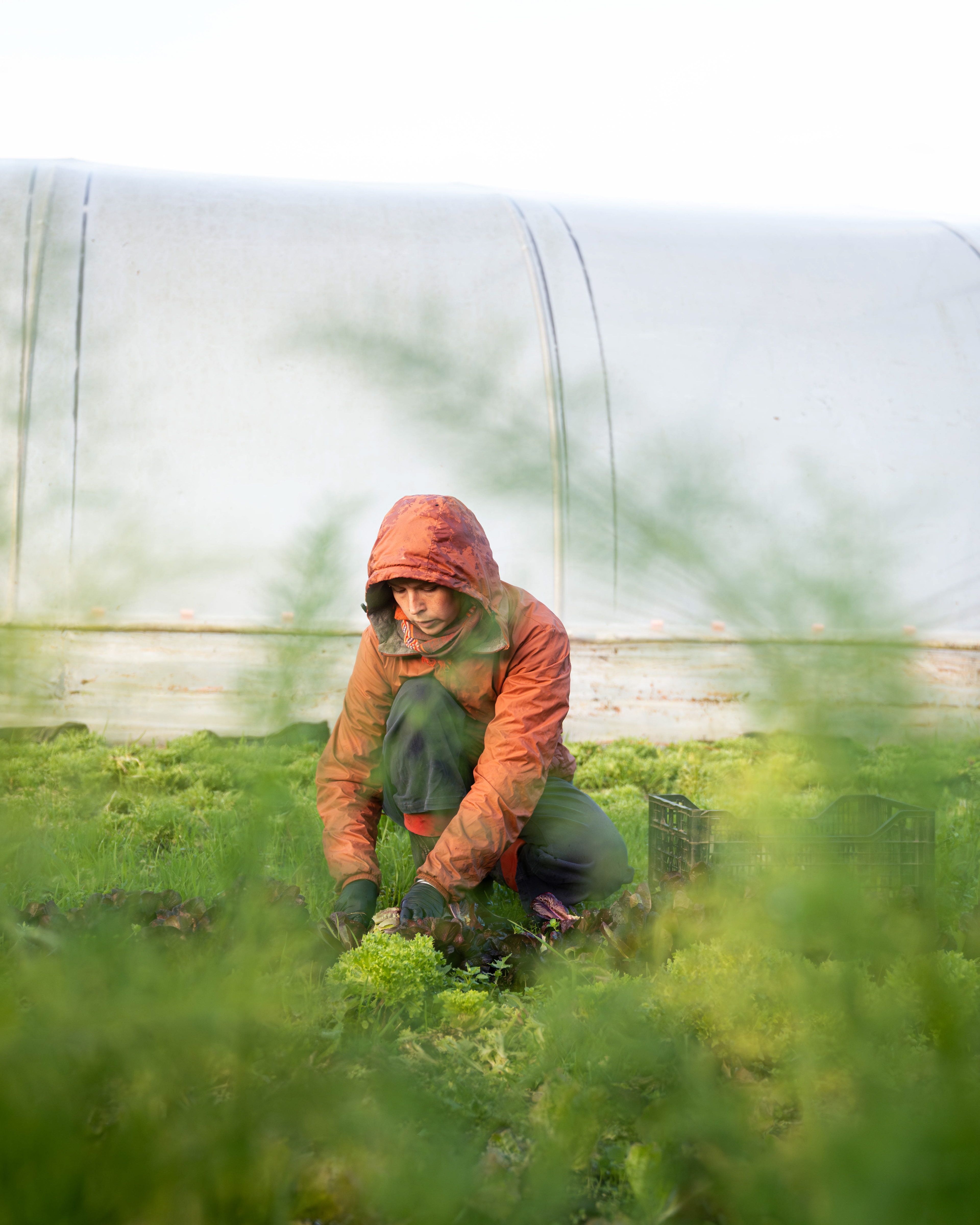 Trill Farm | ©JessicaHollis2025