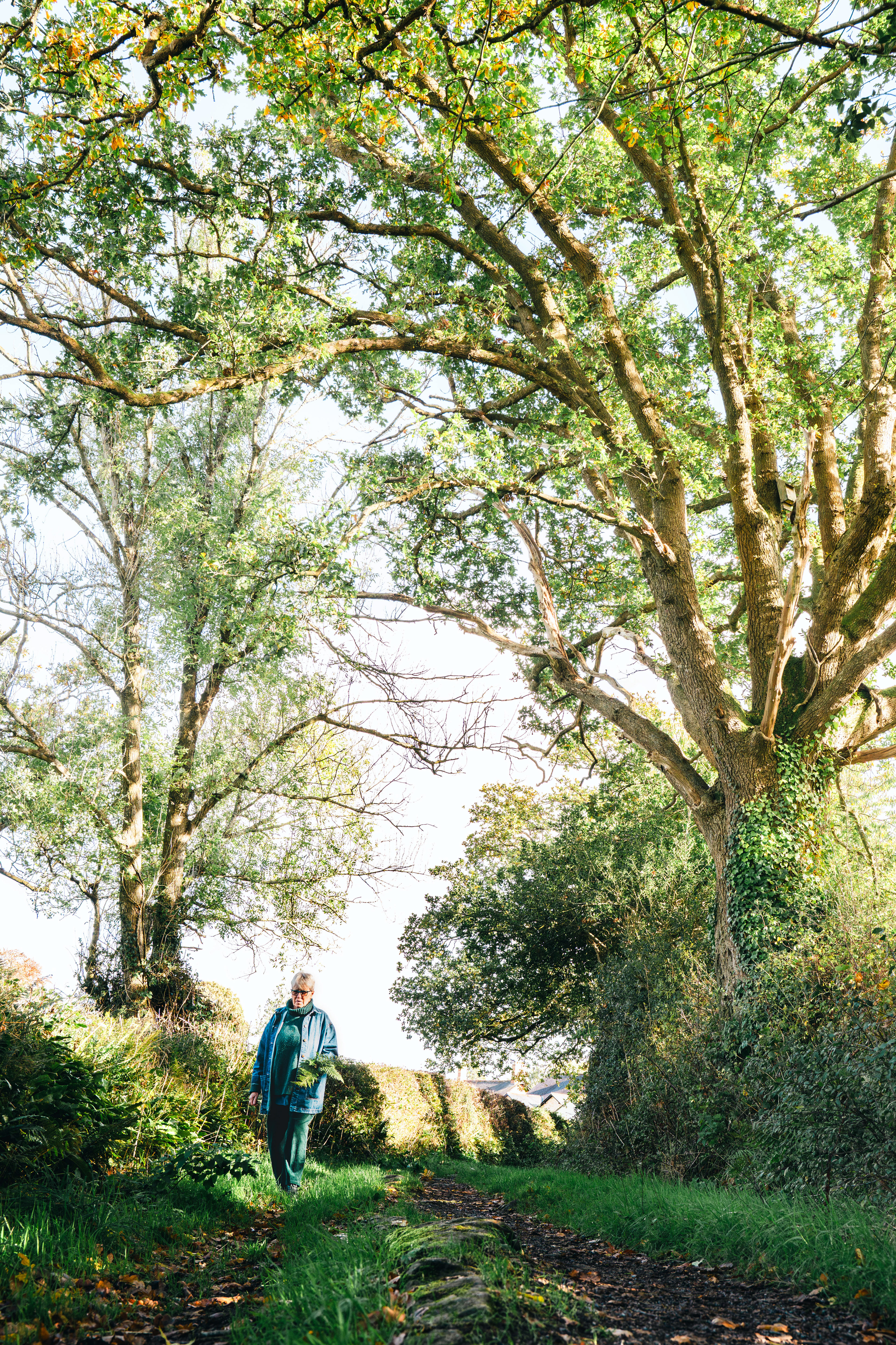 Bridget Arnold | ©JessicaHollis2025