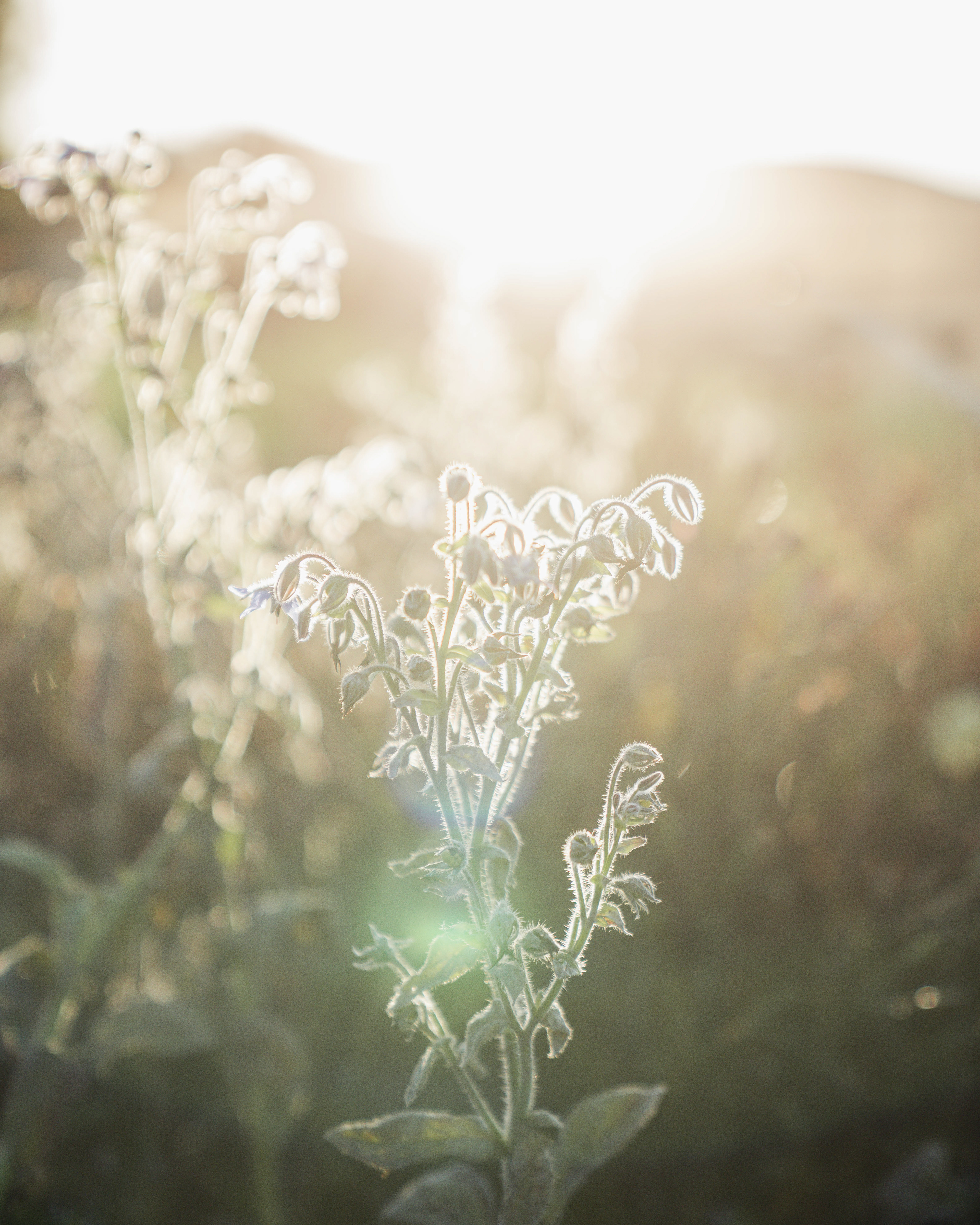 Trill Farm | ©JessicaHollis2025