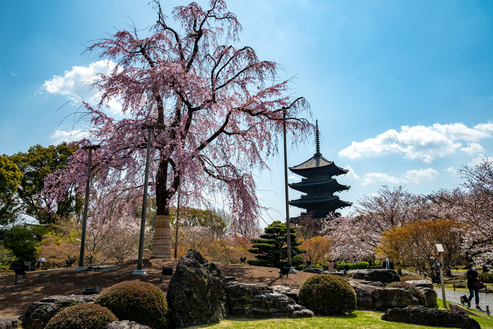 東寺