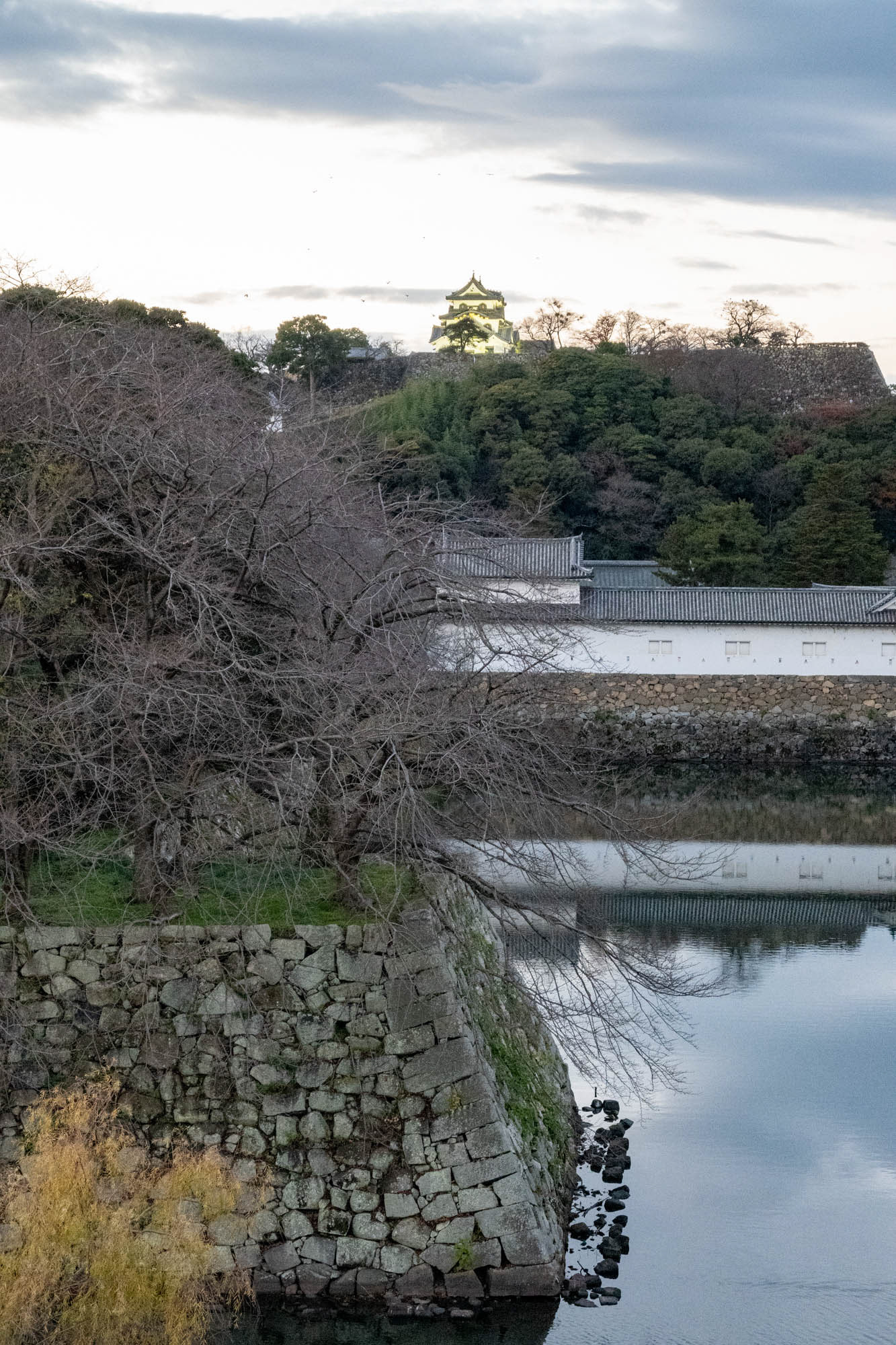 ホテルから見た天守閣