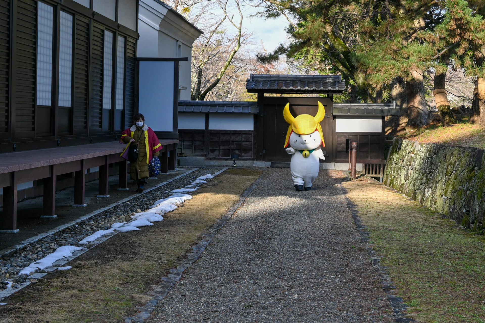 ひこにゃん登場