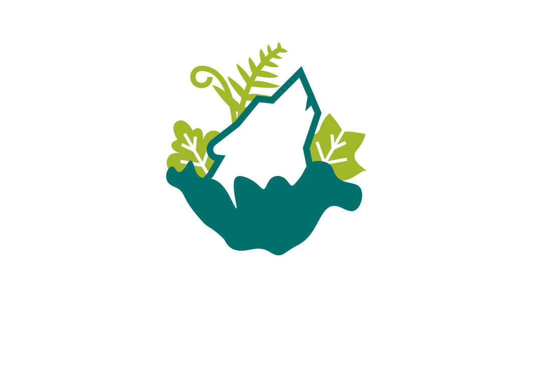Centered Logo Variation